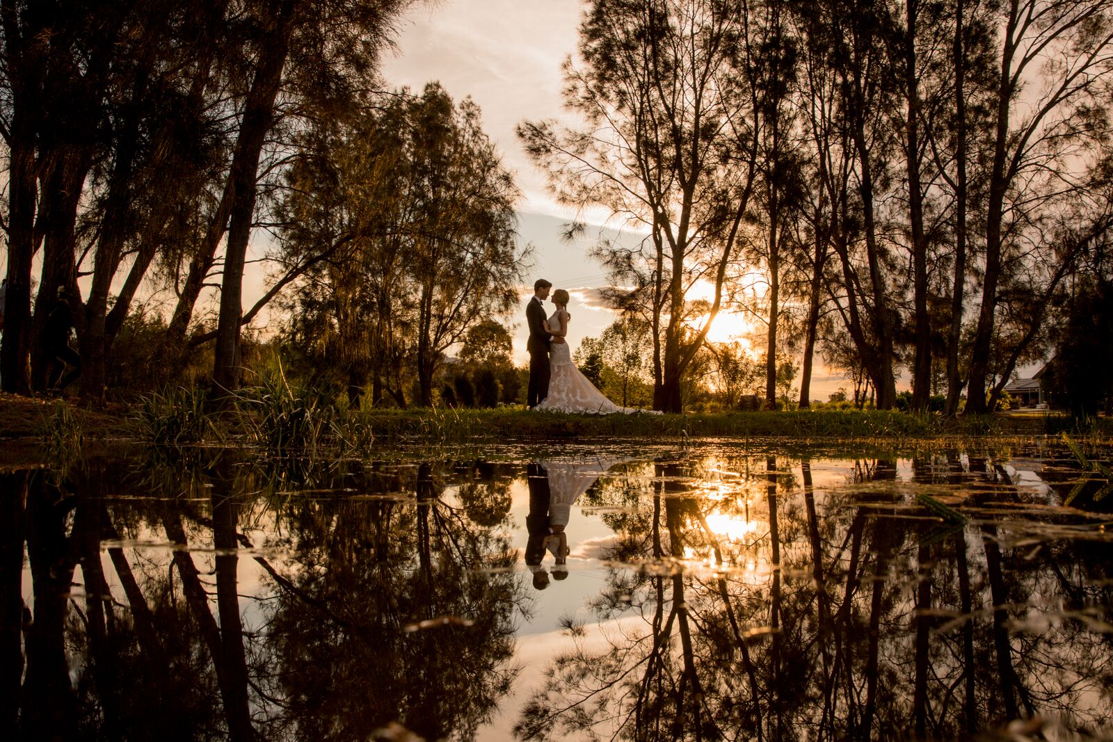 Hunter’s Dream Estate-2492804