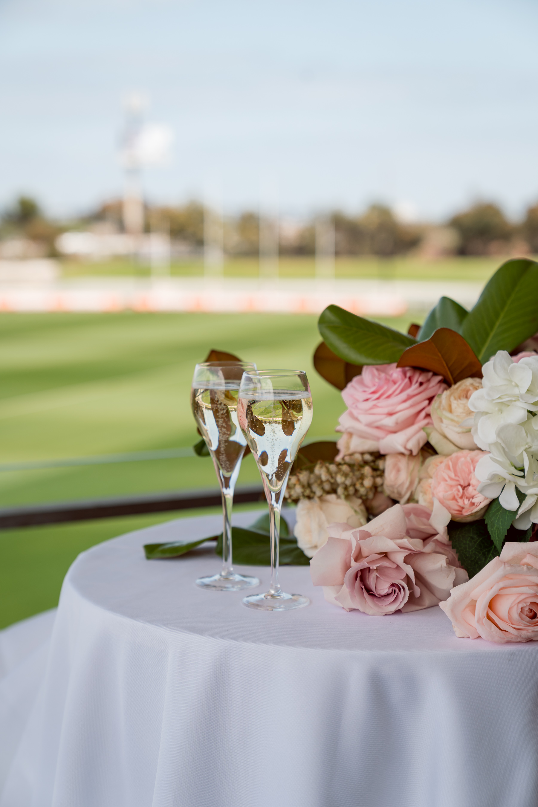 Western Grounds at Mission Whitten Oval-2412888