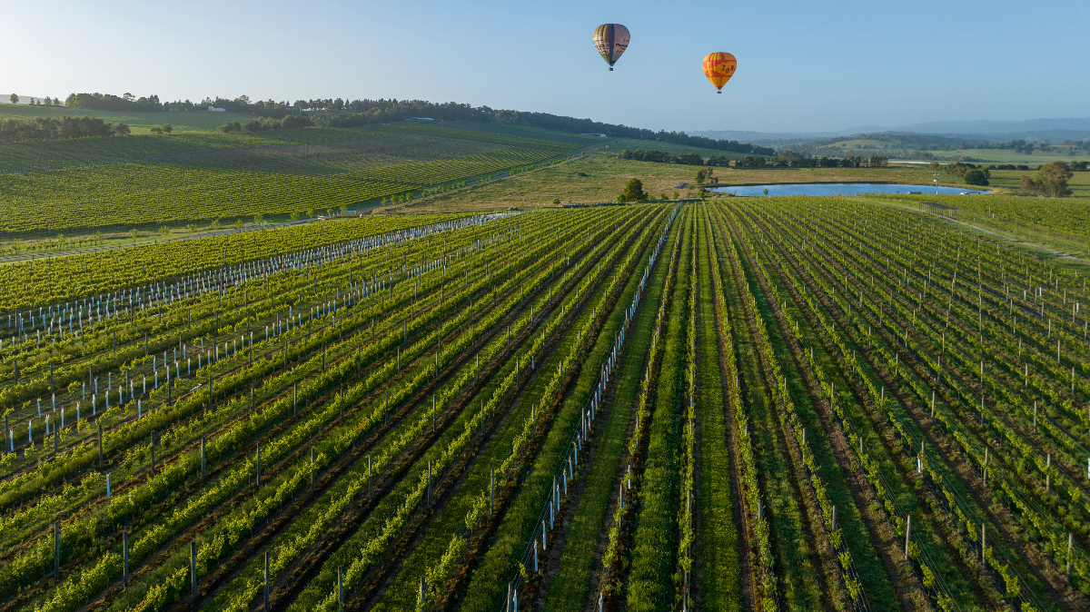 Re'em Yarra Valley-2357980