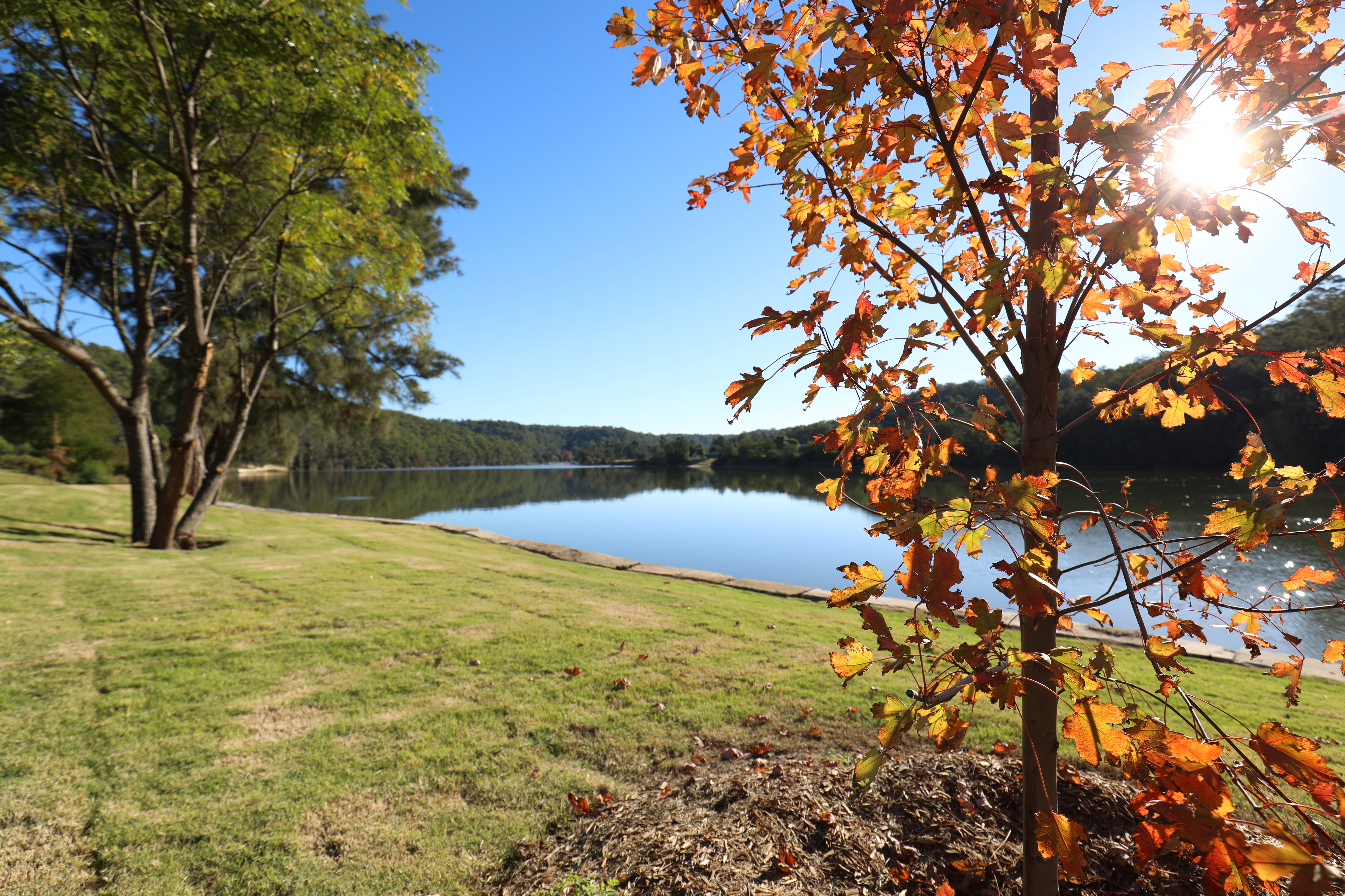 Stix Farm by PEARL-2482765