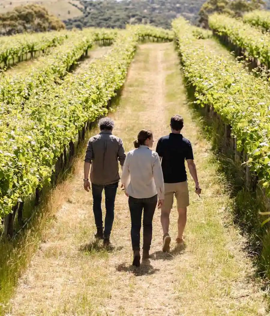 The Retreat @ Chapel Hill-2337799