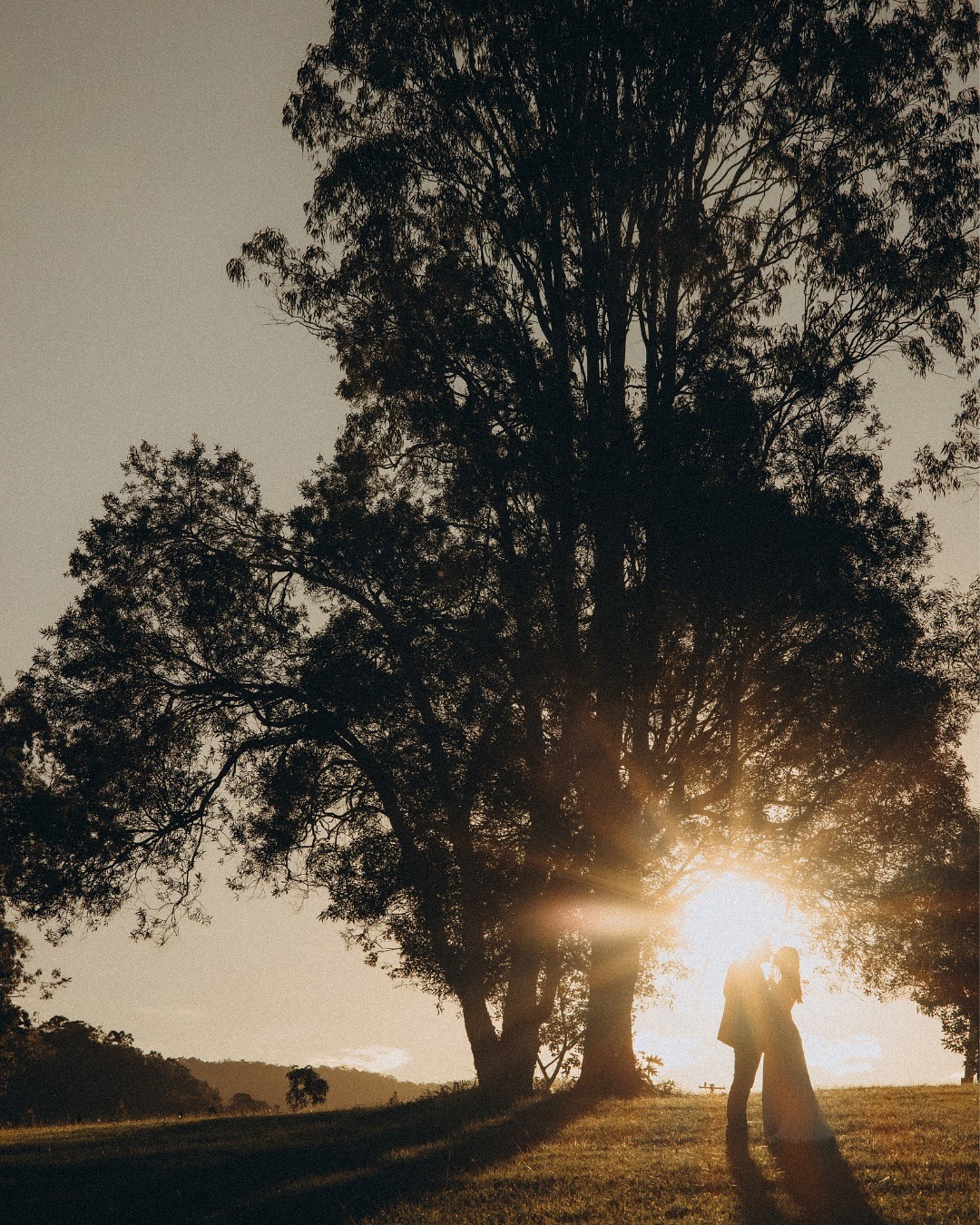 Delaneys Estate-2501506