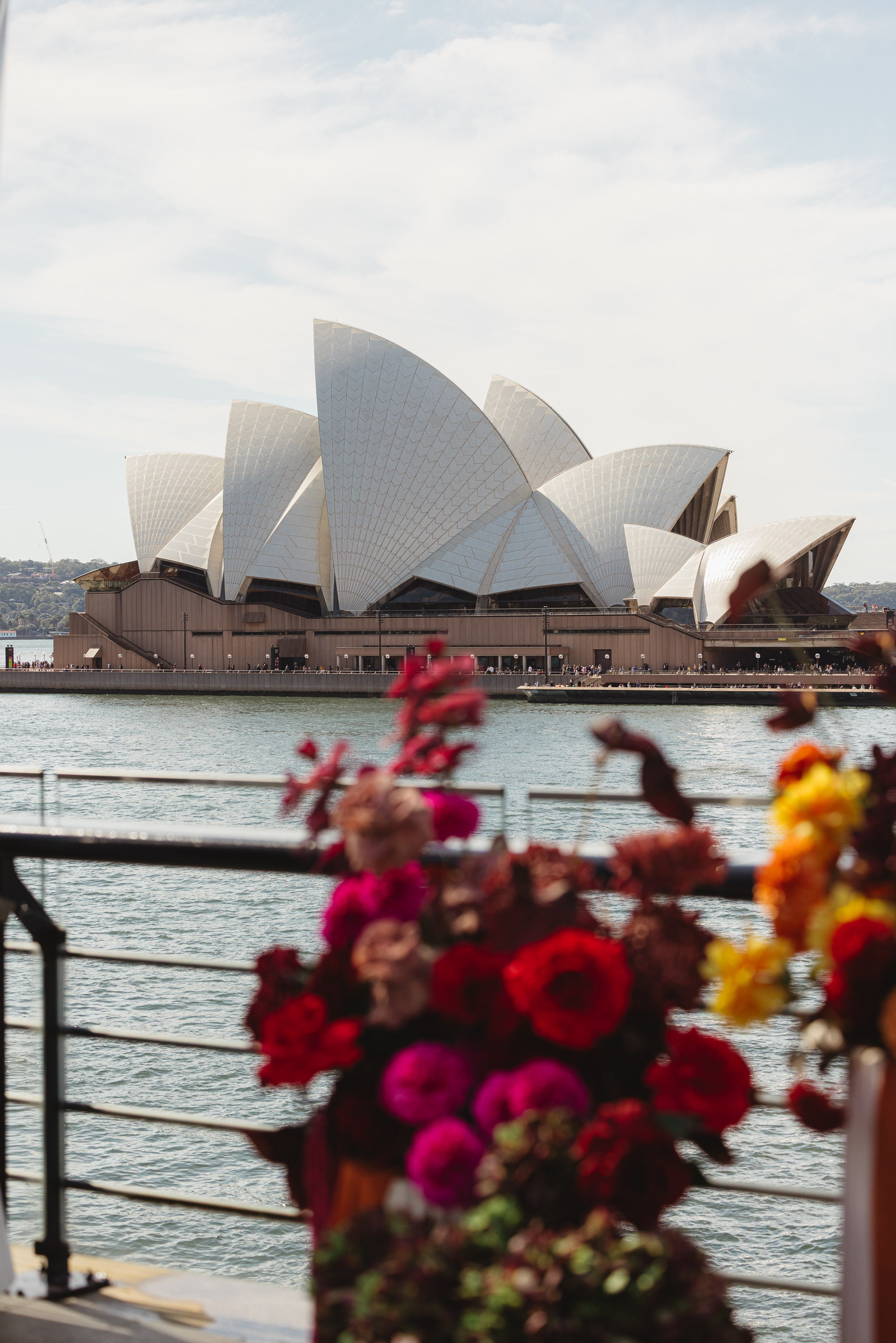 Melba's Rooftop-2475851