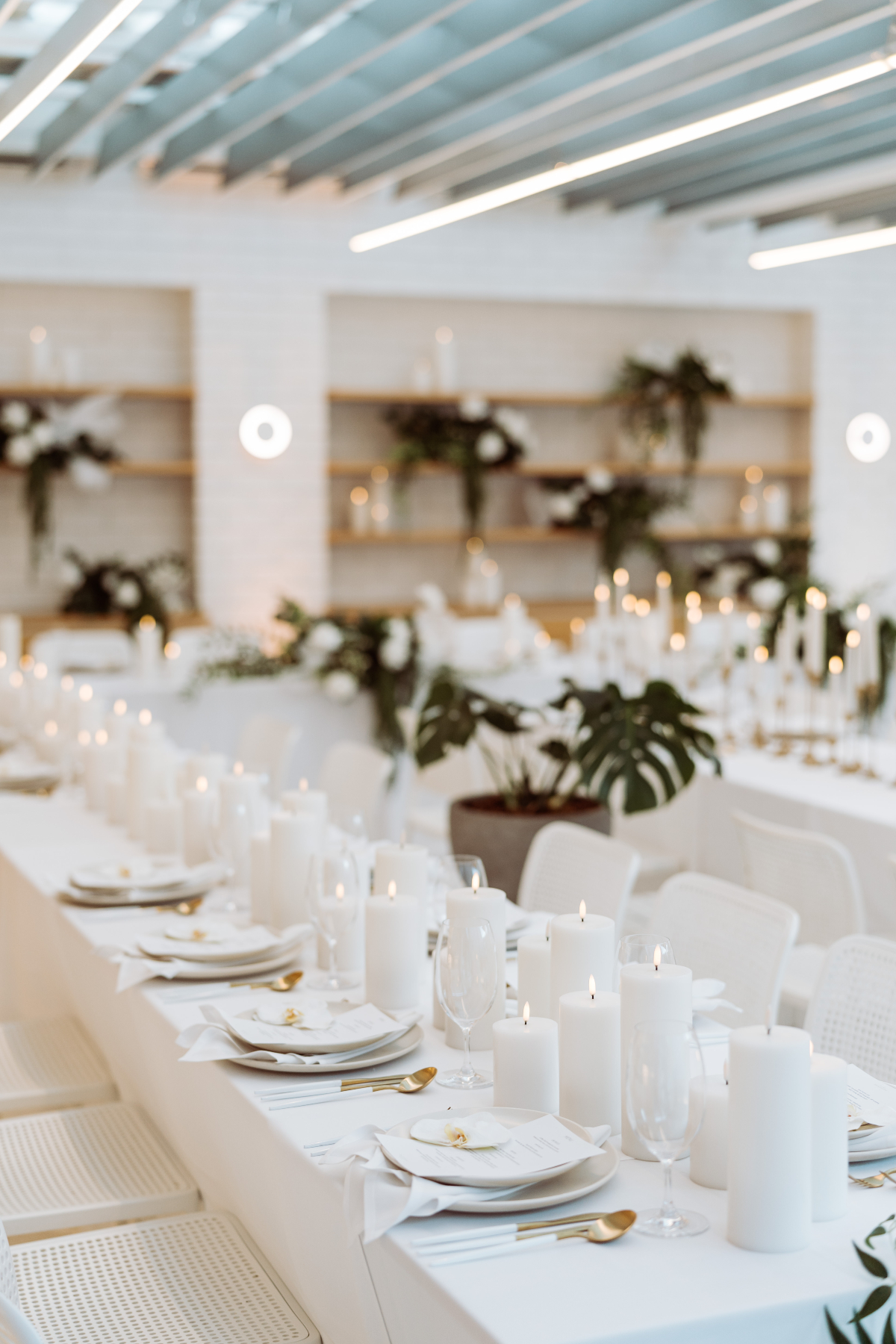 Industry Beans-2337436