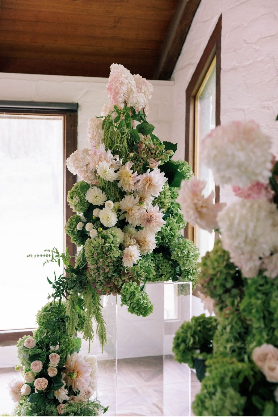 Frog Hollow Estate-2503916