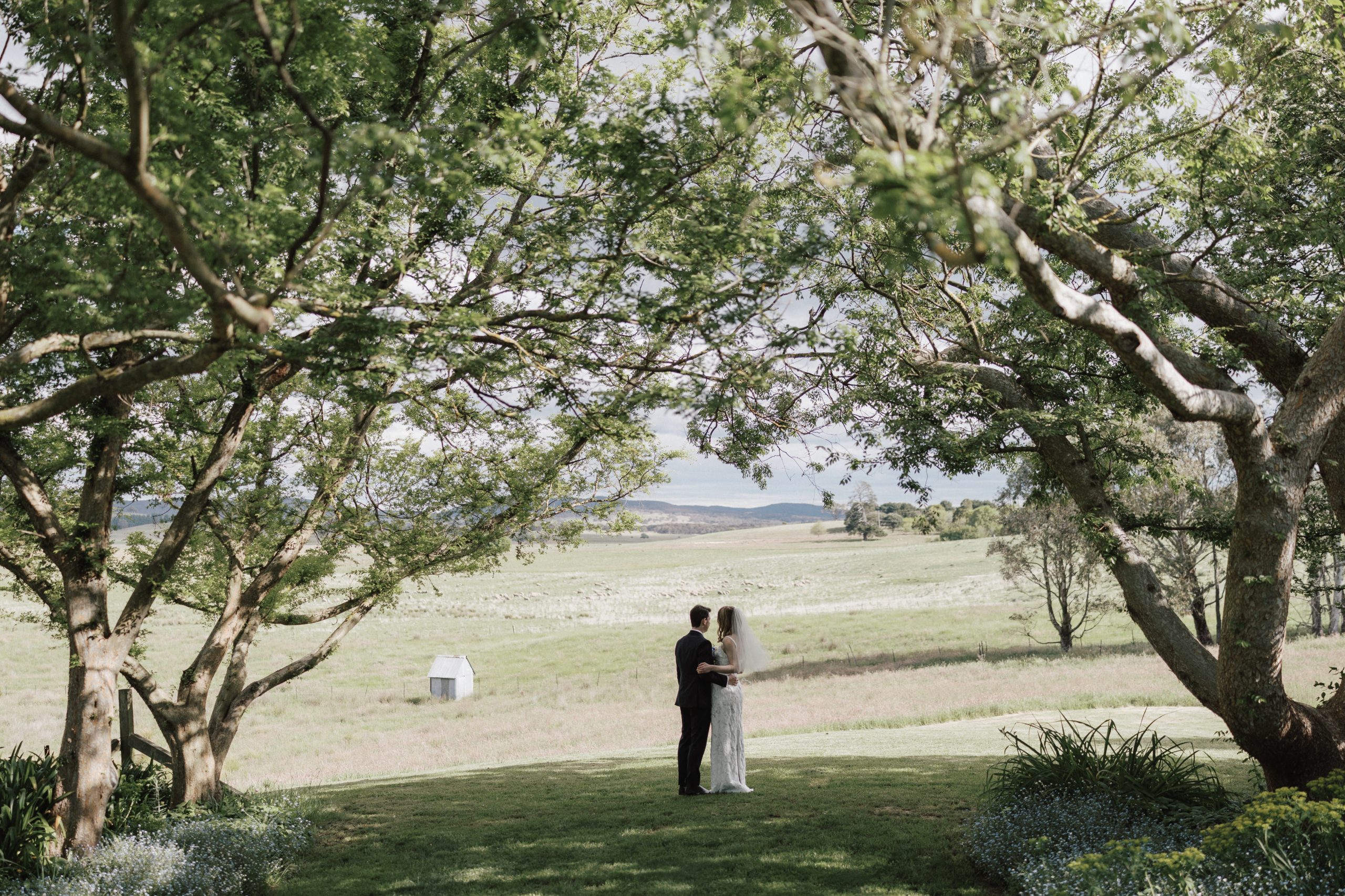 Longfield 1838-2499331