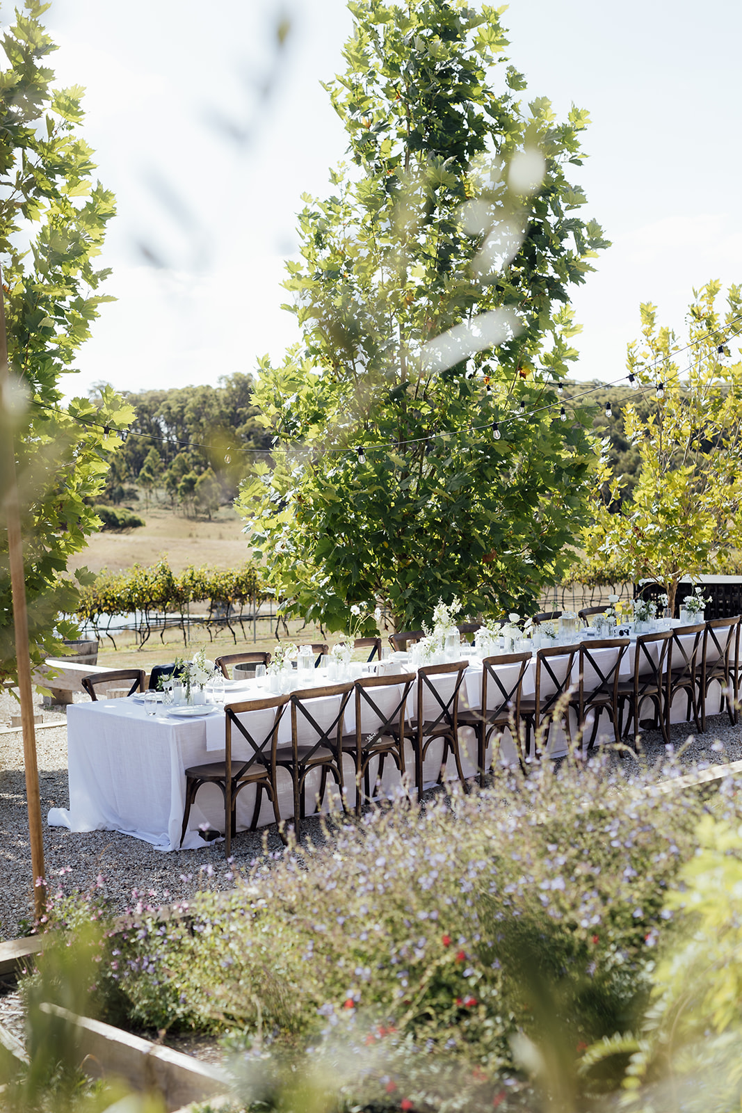 Lauriston Hills Estate-2430740