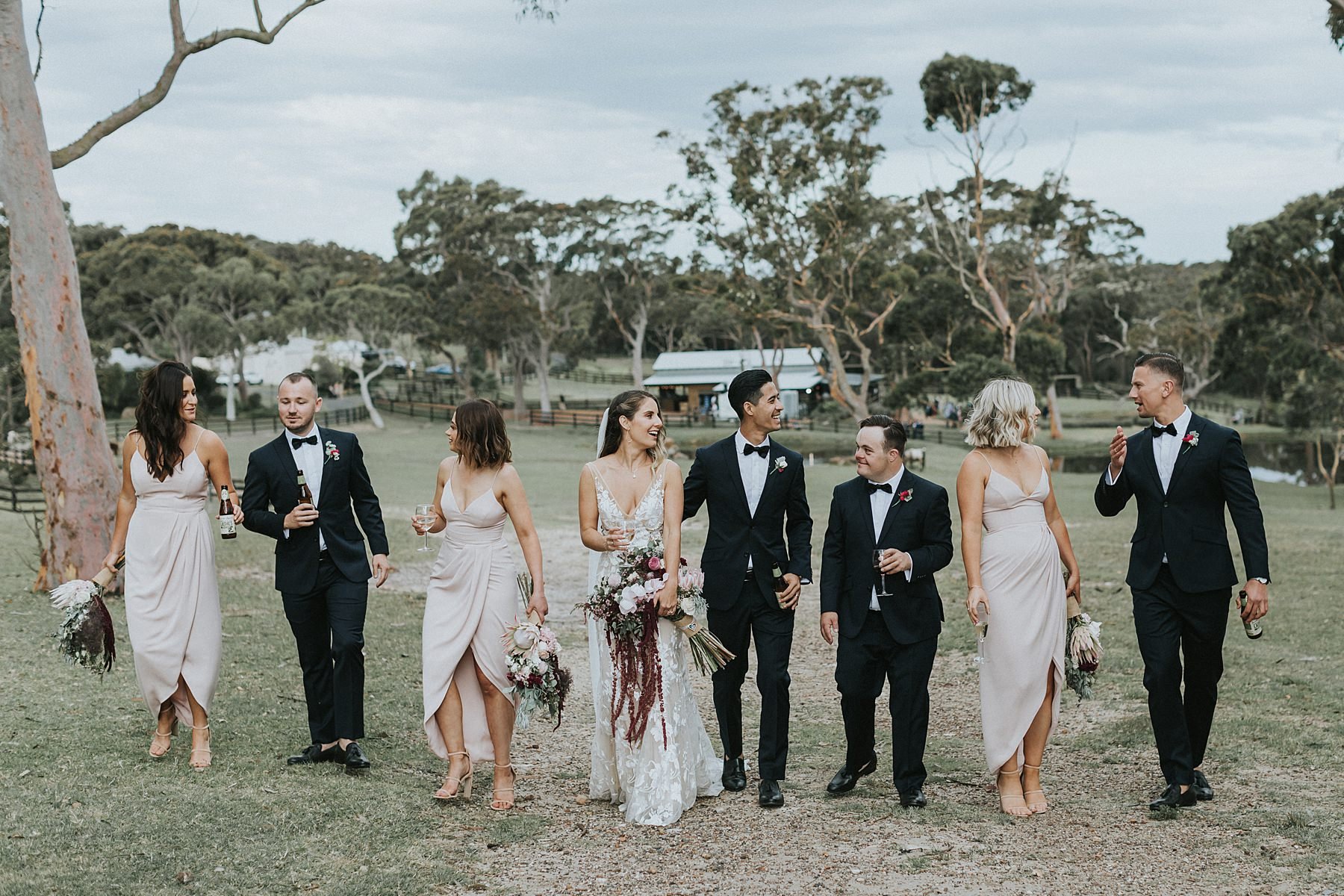 Silvergum Stables-2439755