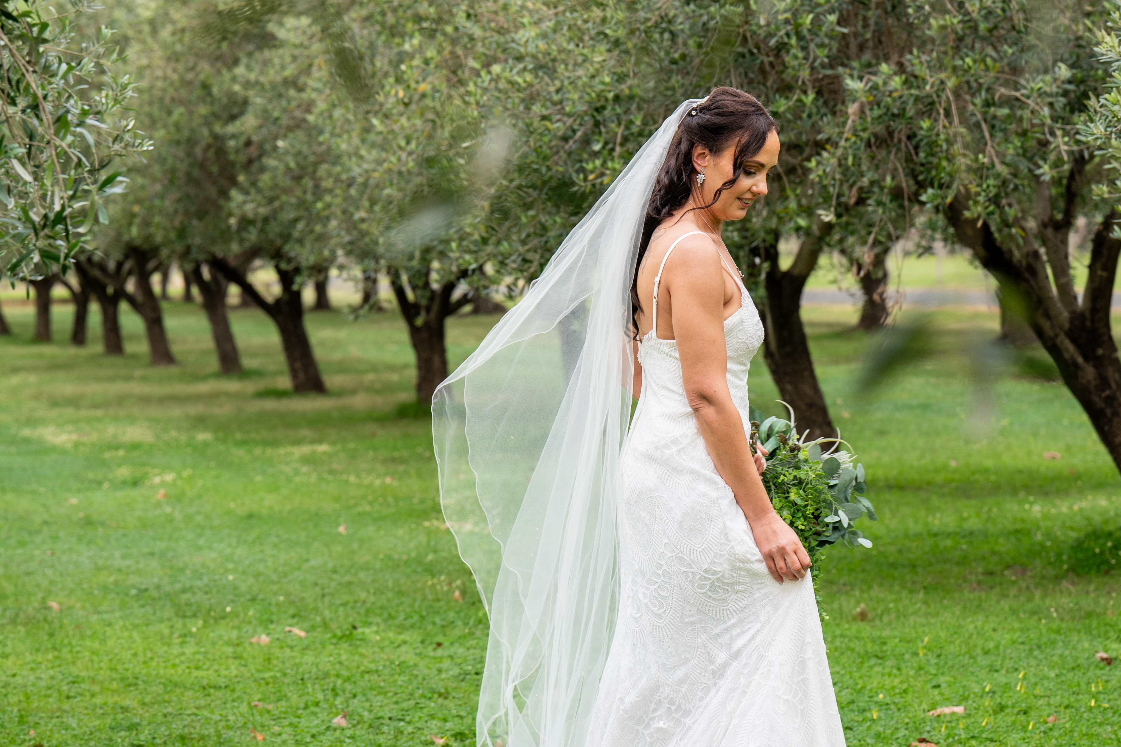 Harvey Springs Estate-2397200