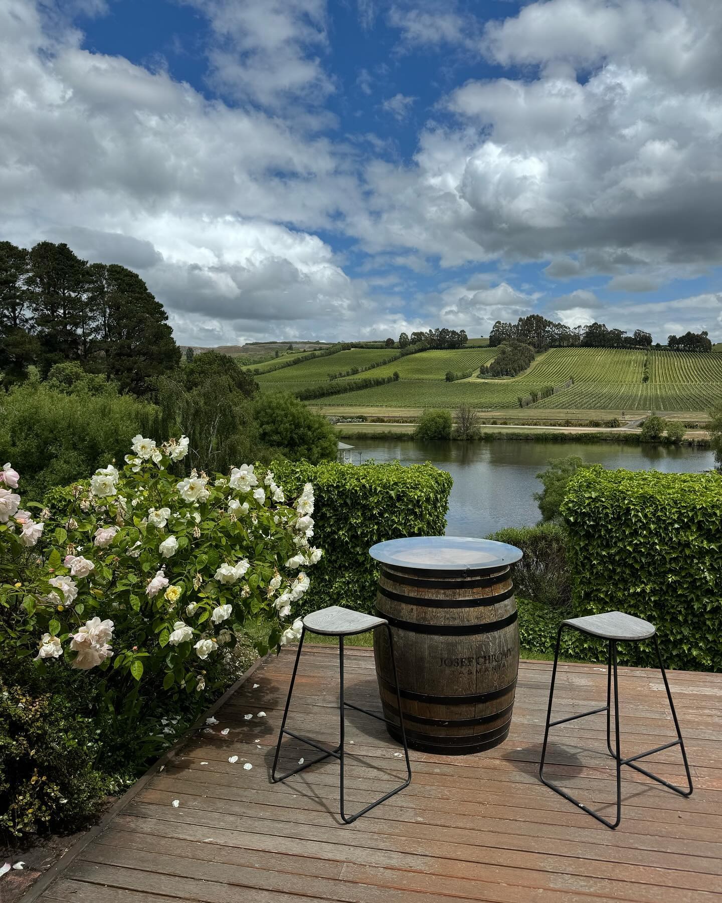Josef Chromy Wines-2513091
