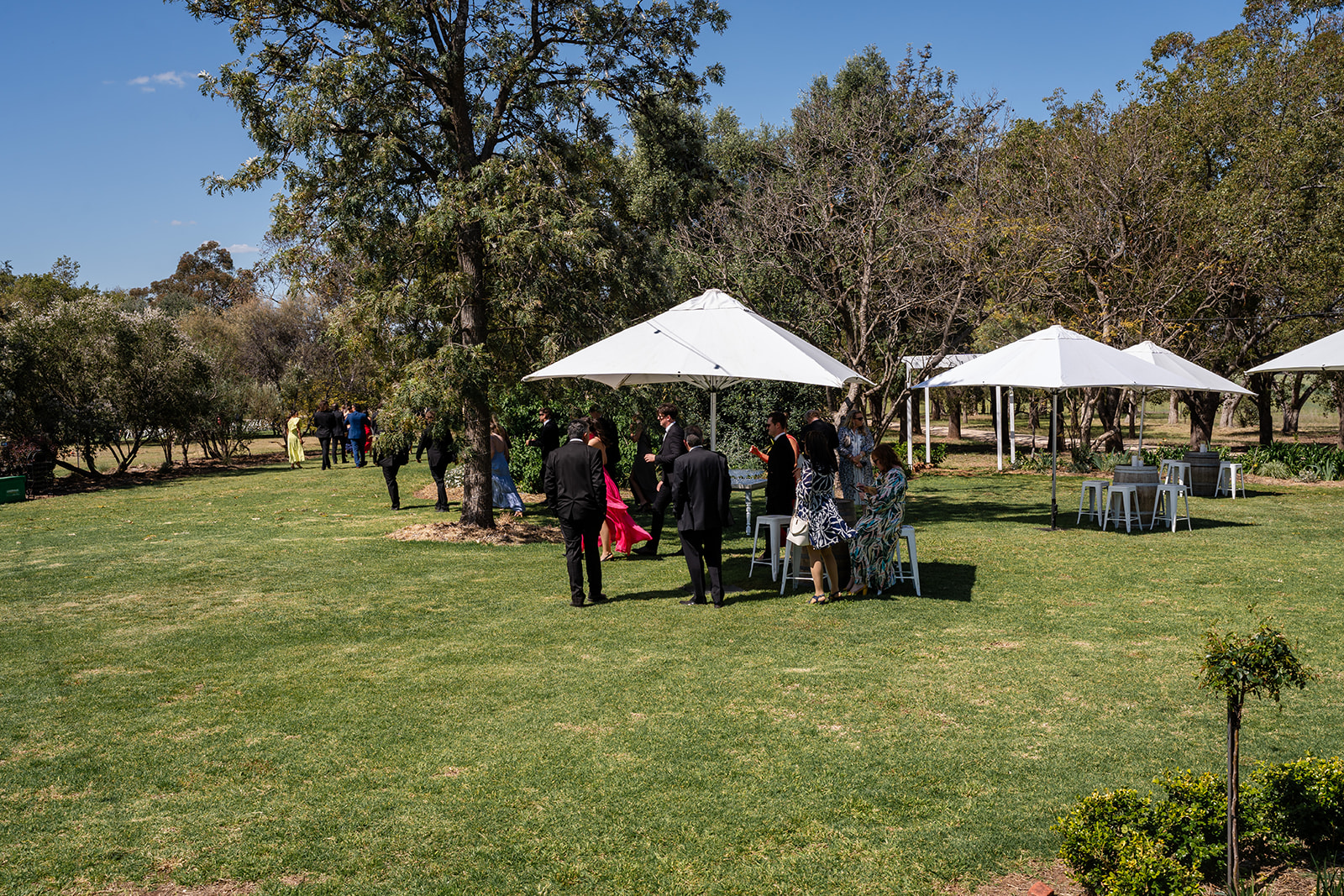 Rawson Park Homestead-2426103