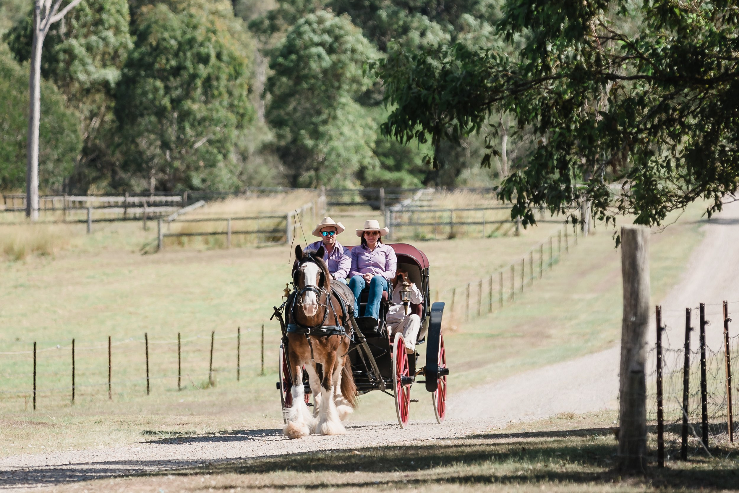 Woodstock Farm Wedding Venue in Tamborine WeddingVenues com au