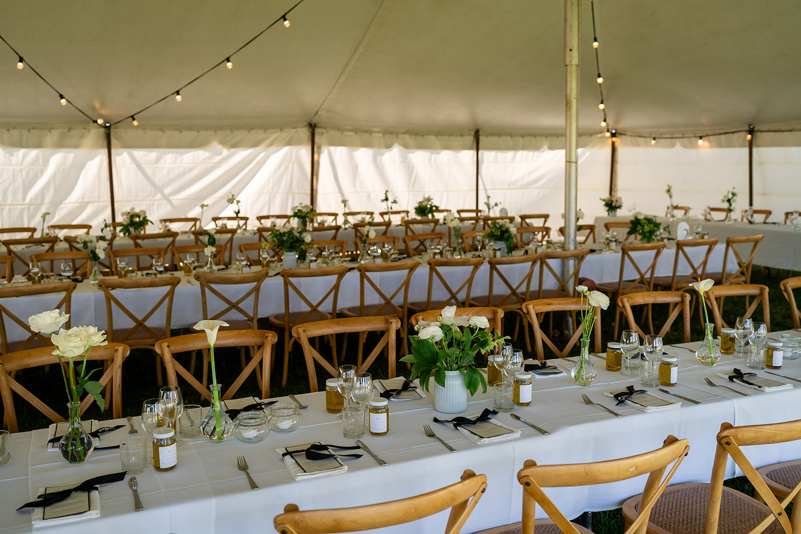 Rawson Park Homestead-2426102