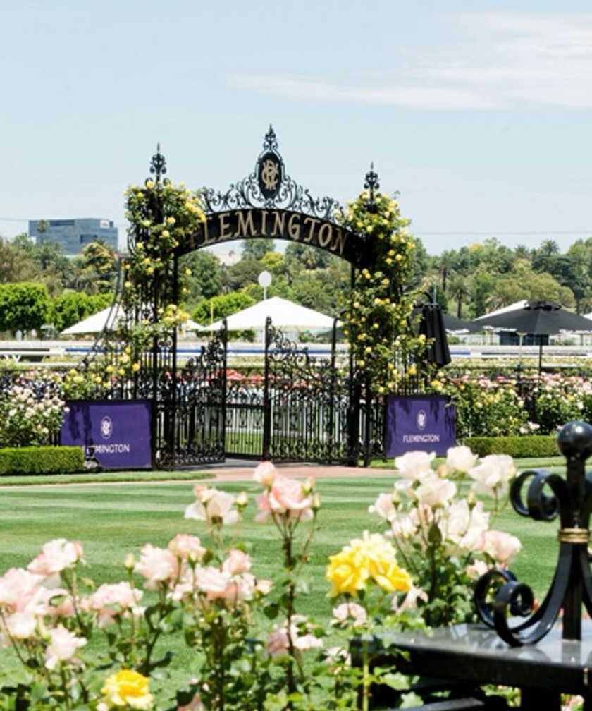 Flemington Weddings-2511511