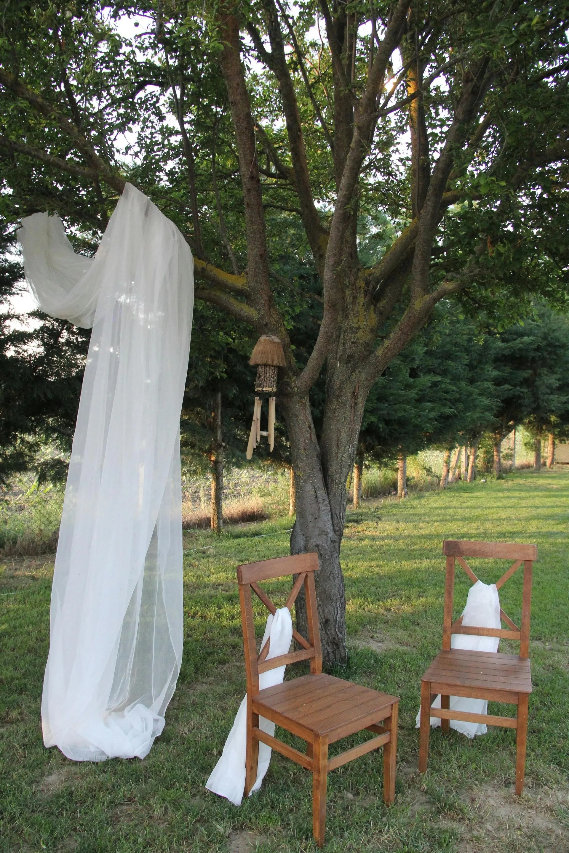 Lakeview Luxury Retreat-2504415