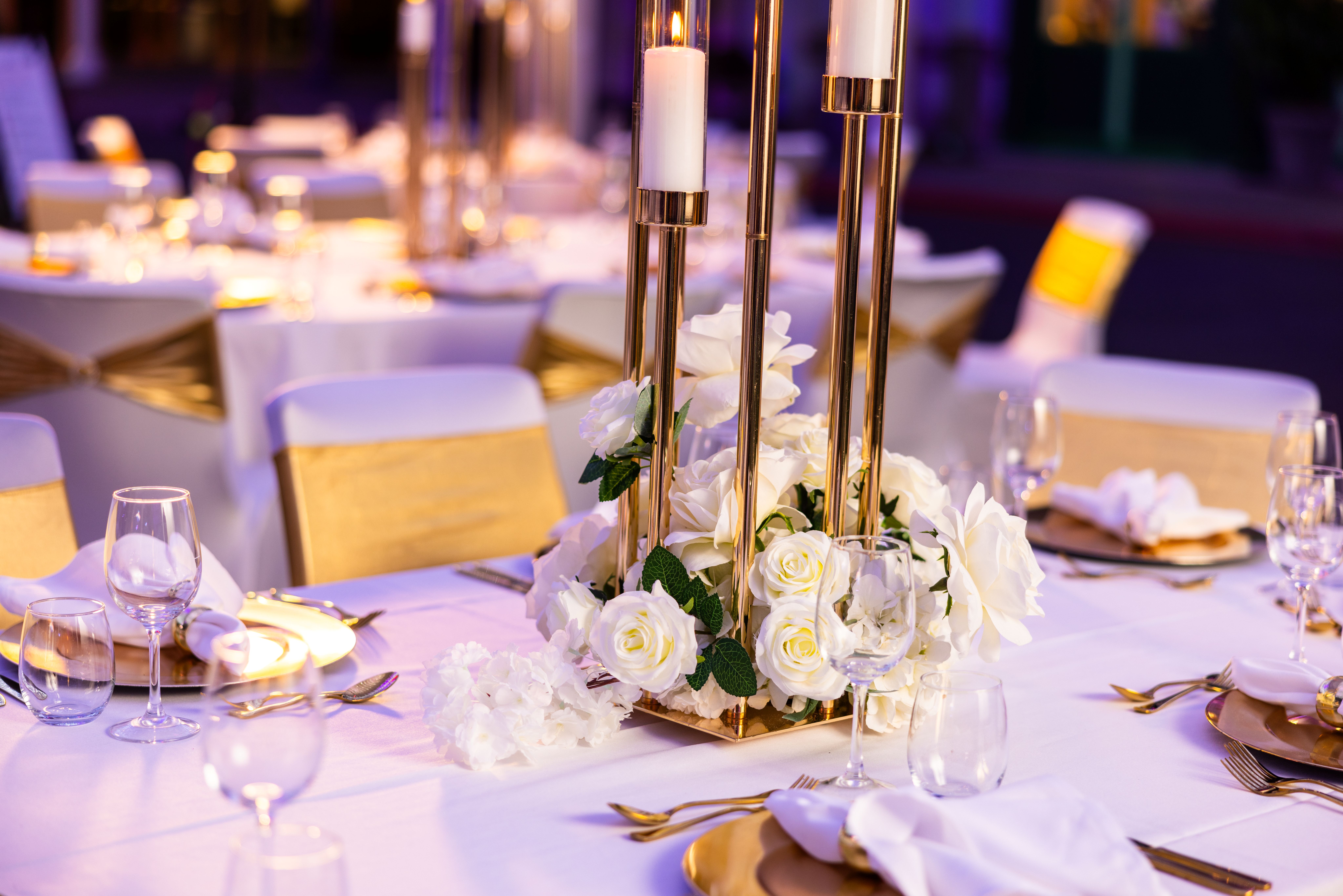 Warner Bros. Movie World-2417581