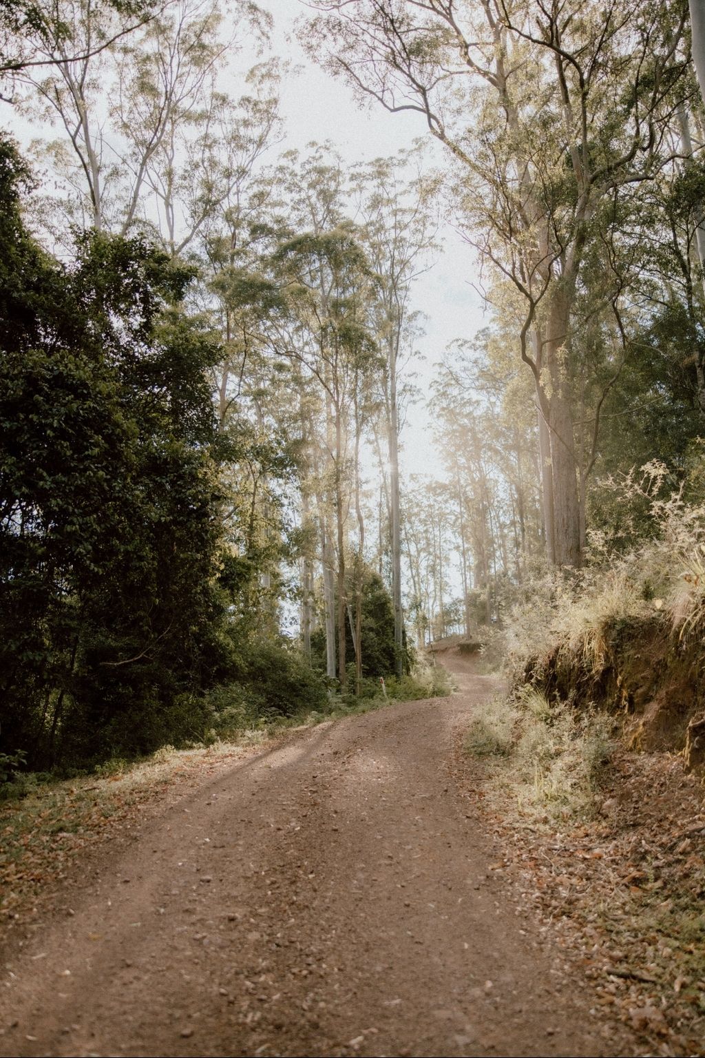 The Greenhouse Pavilion-2481291