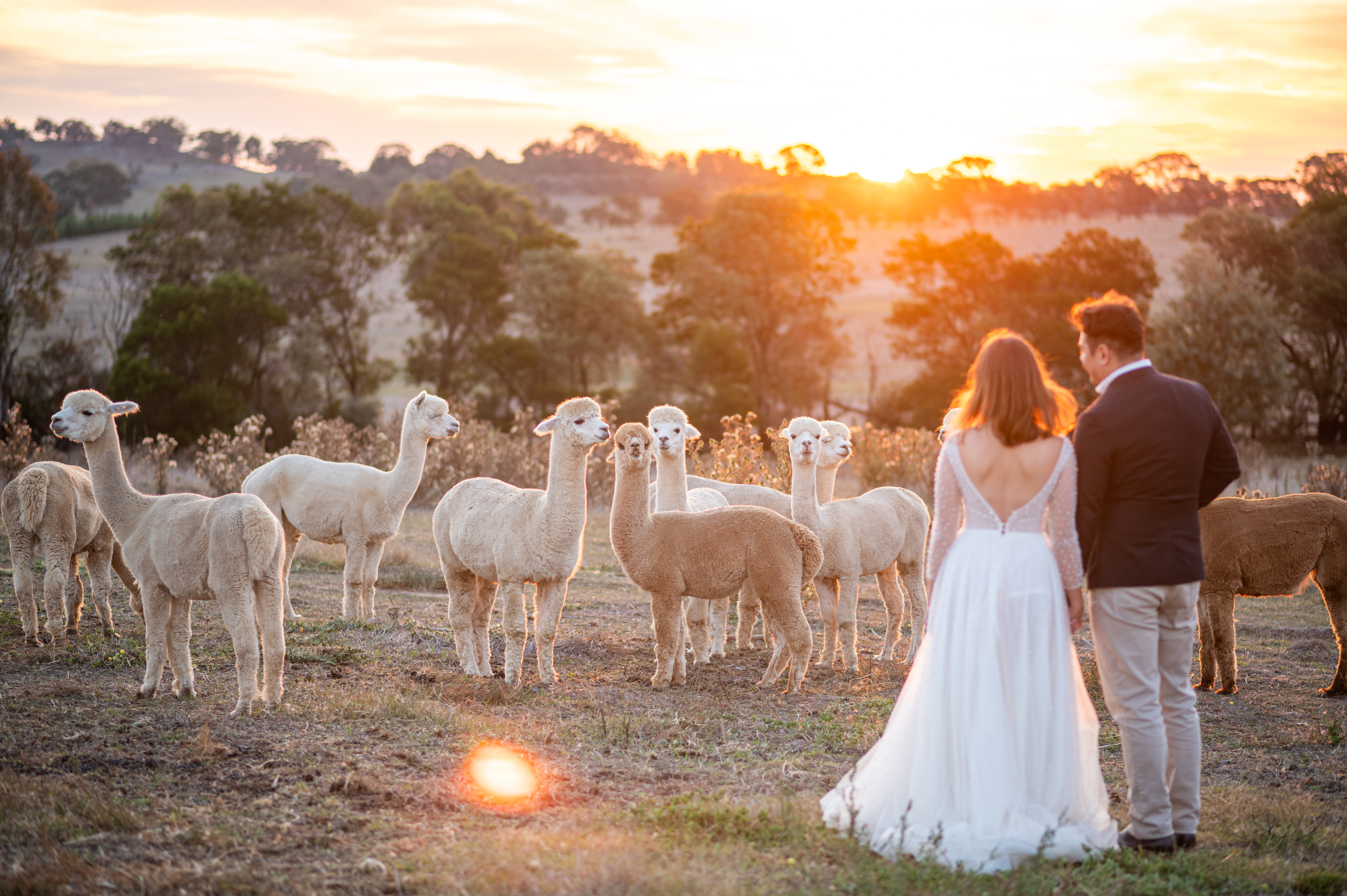 Hampton Park Estate-2458299