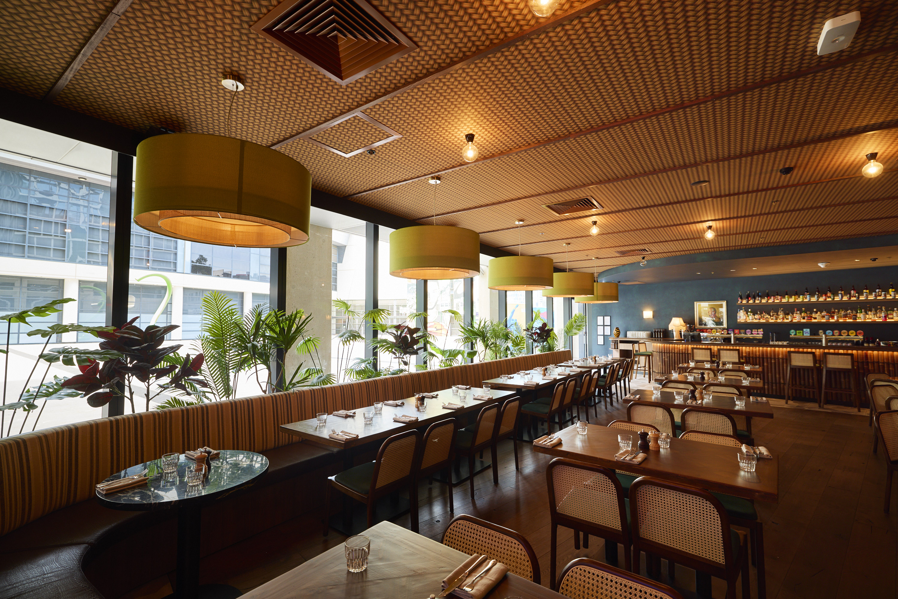 Moon Dog Doglands-2454443