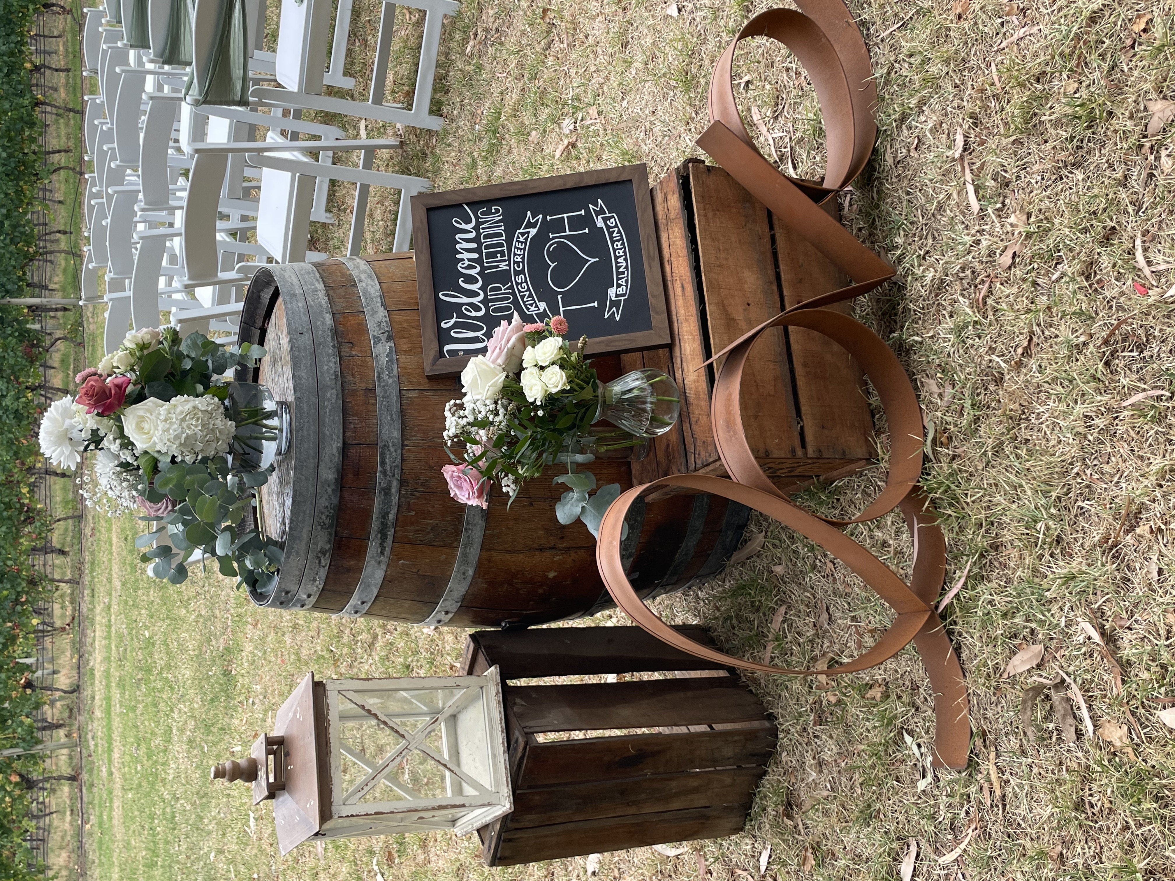 Kings Creek Vineyard-2467646