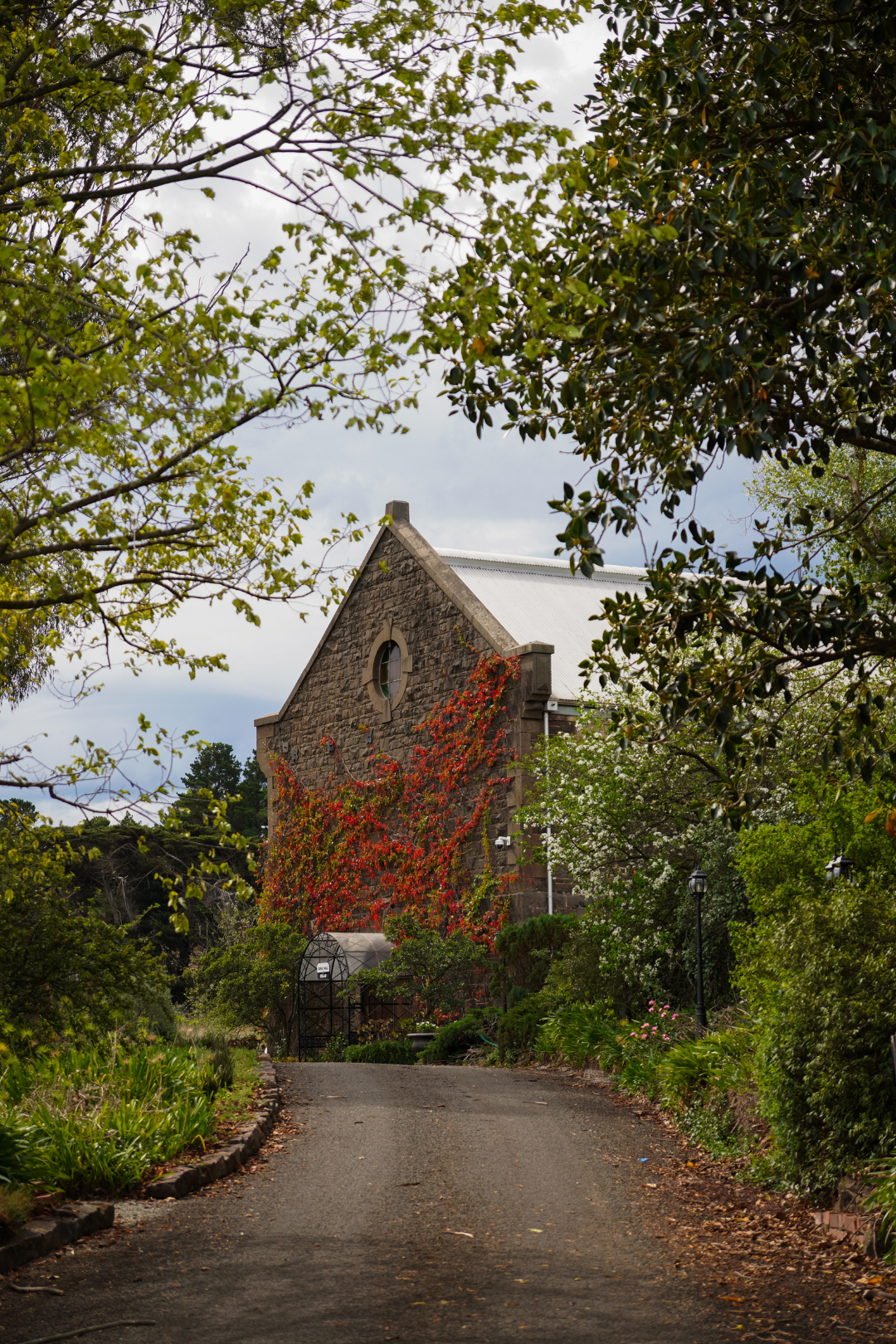 Goona Warra Vineyard-2534298