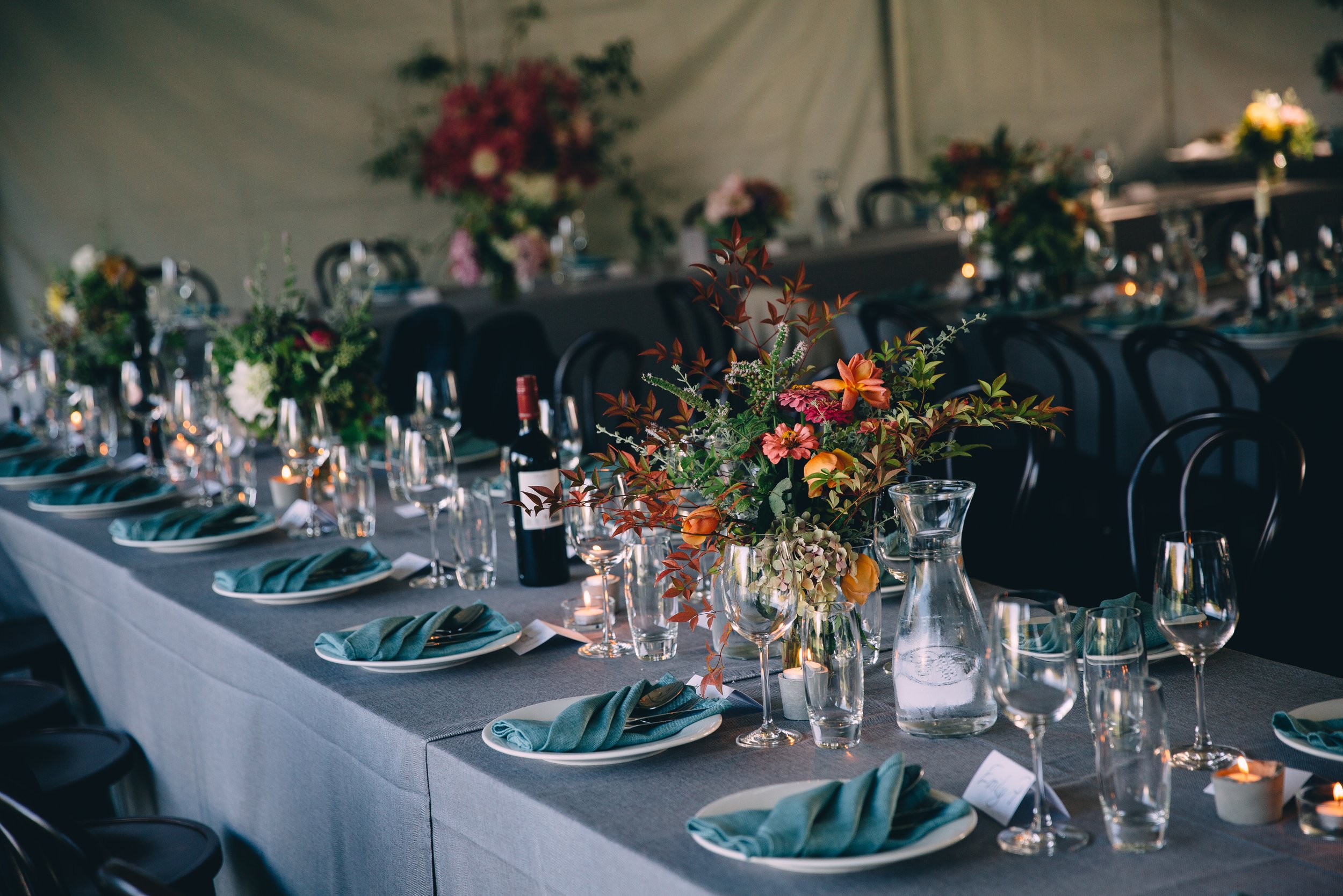 Woolmers Estate-2437736