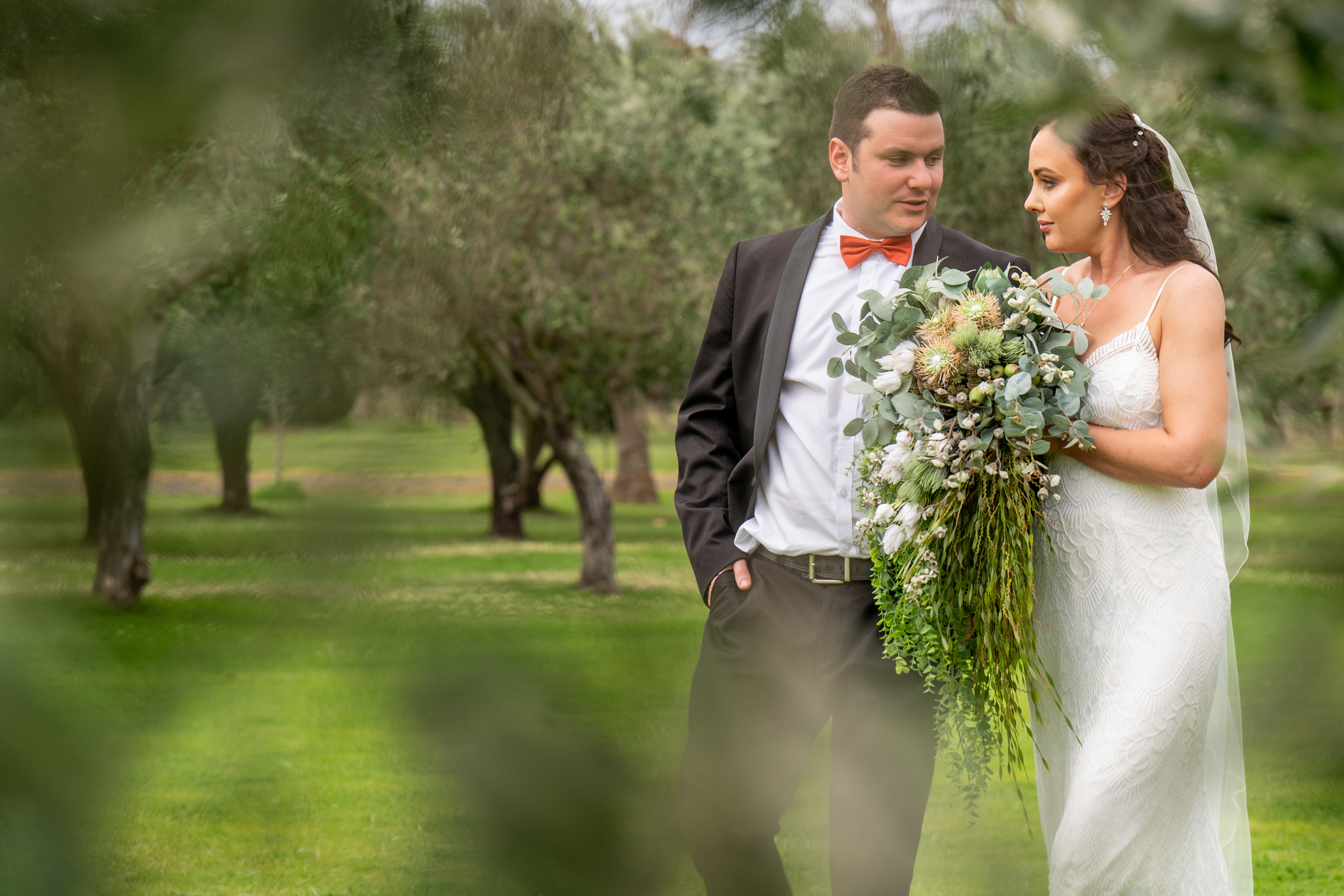 Harvey Springs Estate-2397201