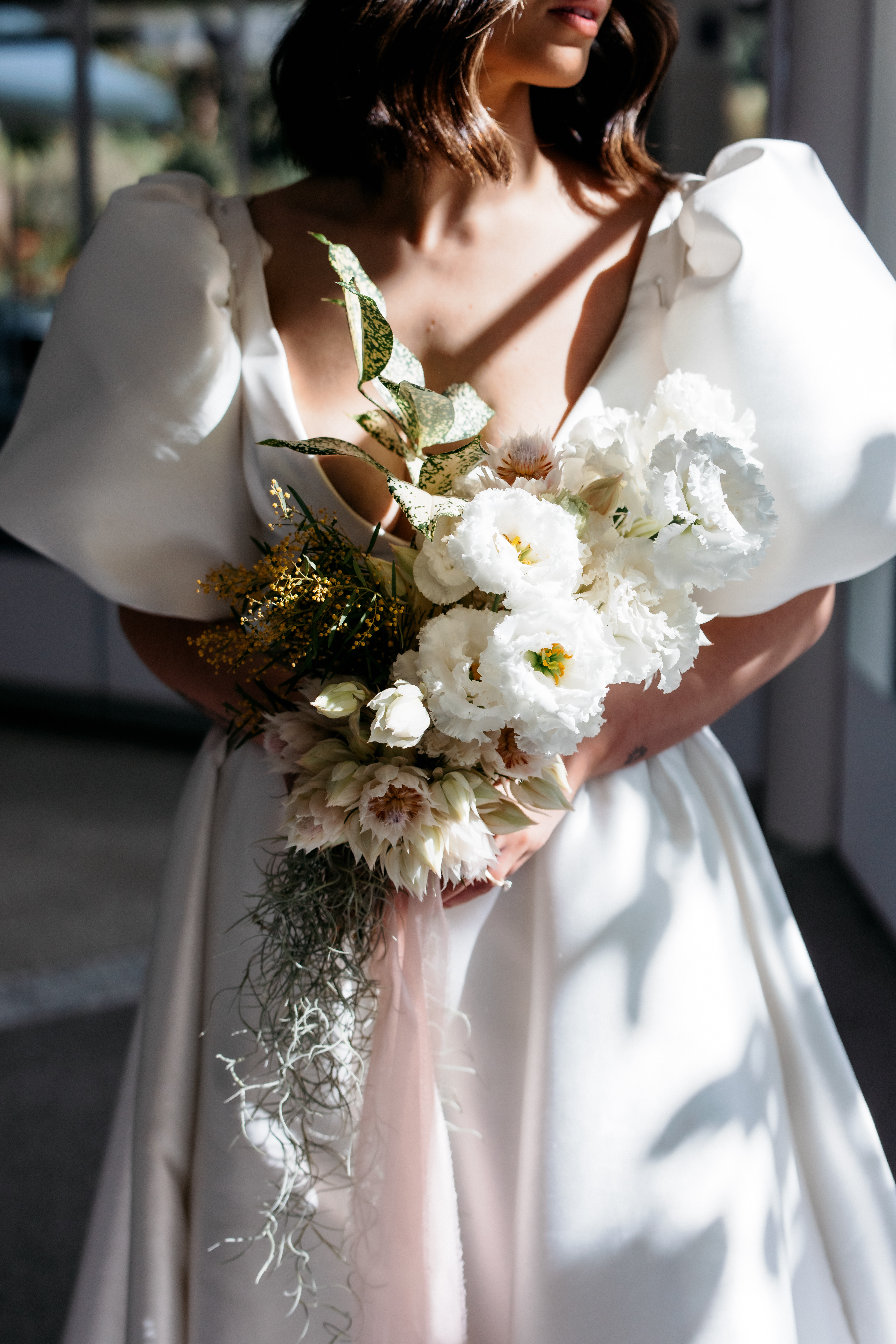 The Terrace Royal Botanic Gardens Melbourne-2347628
