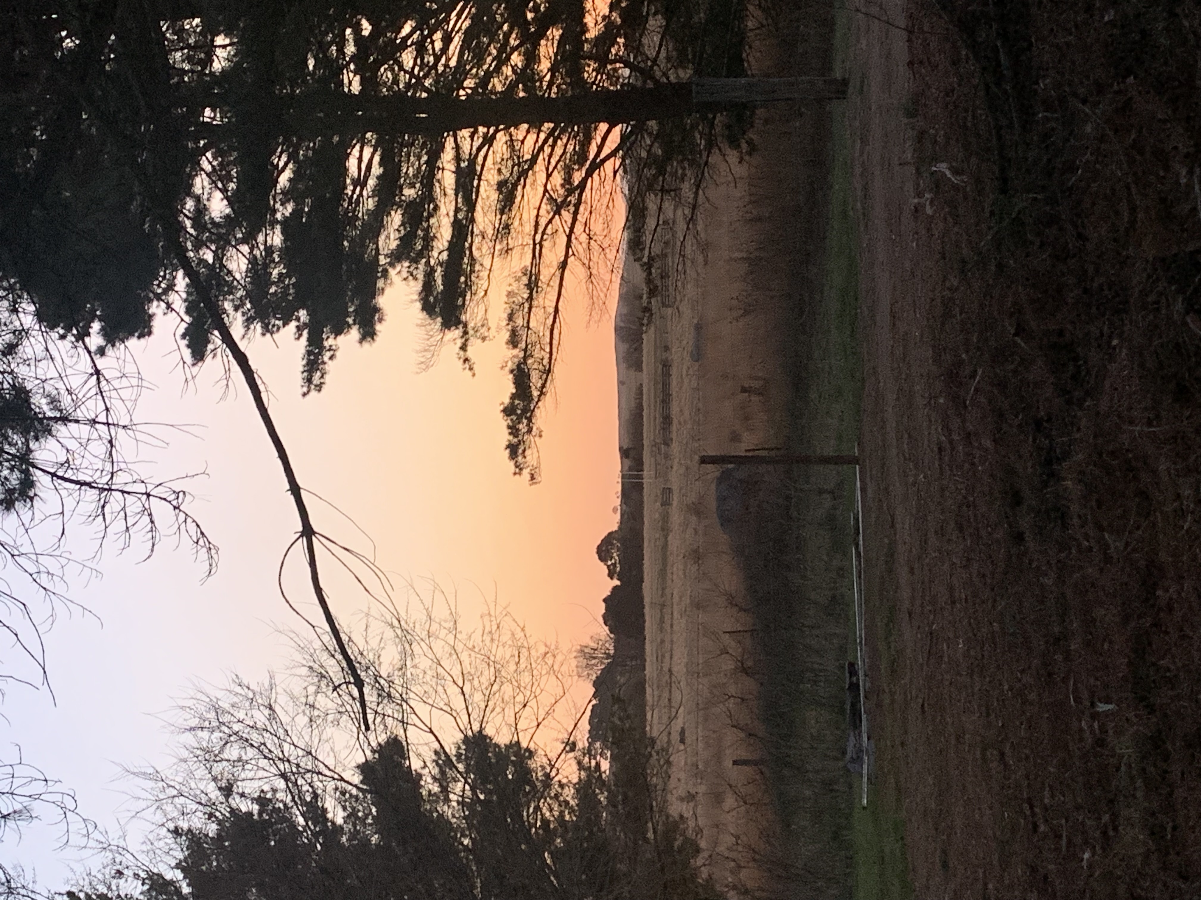 Garanvale Woolshed-2311392