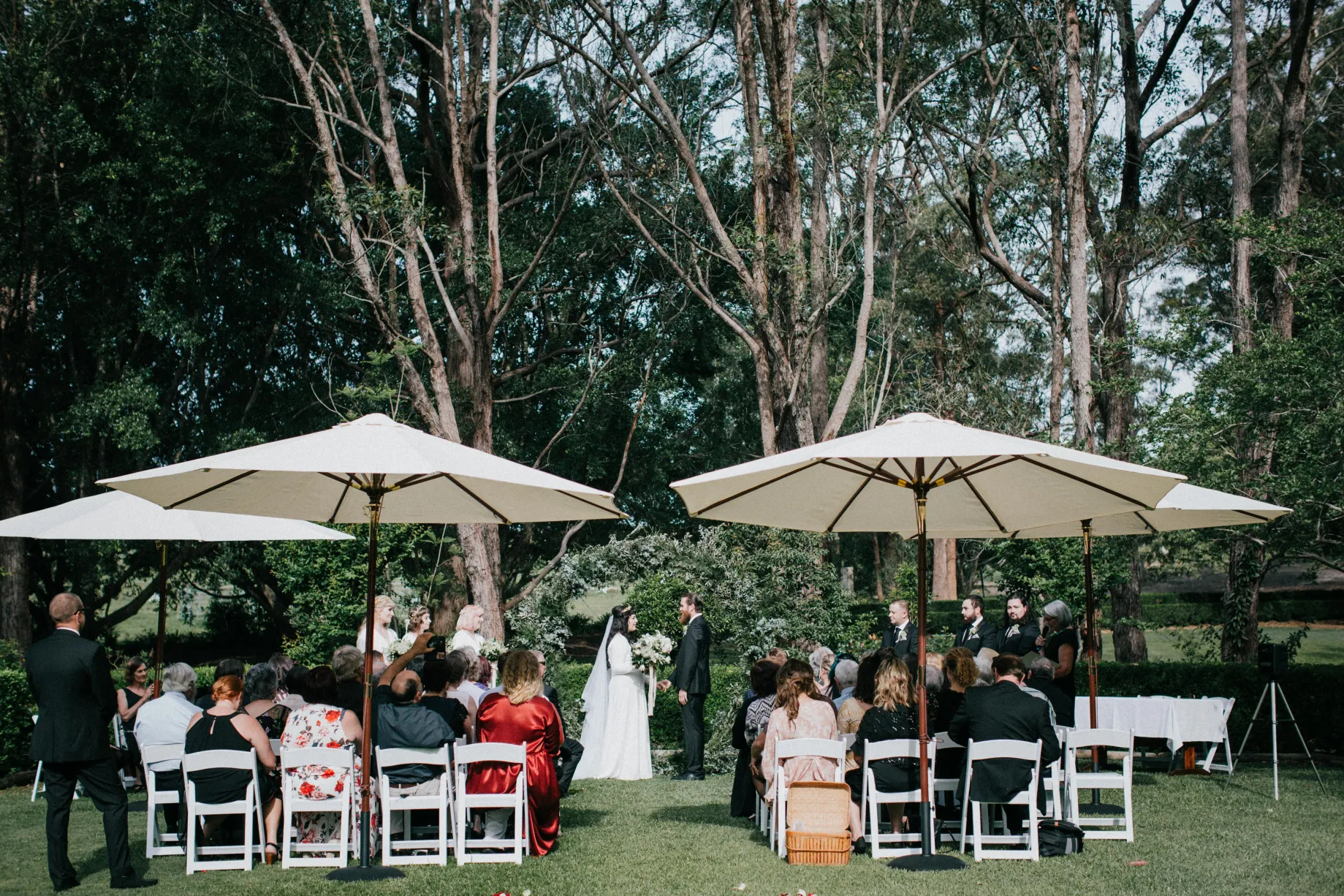 TwoTripleFour @ Cassegrain Winery-2163181