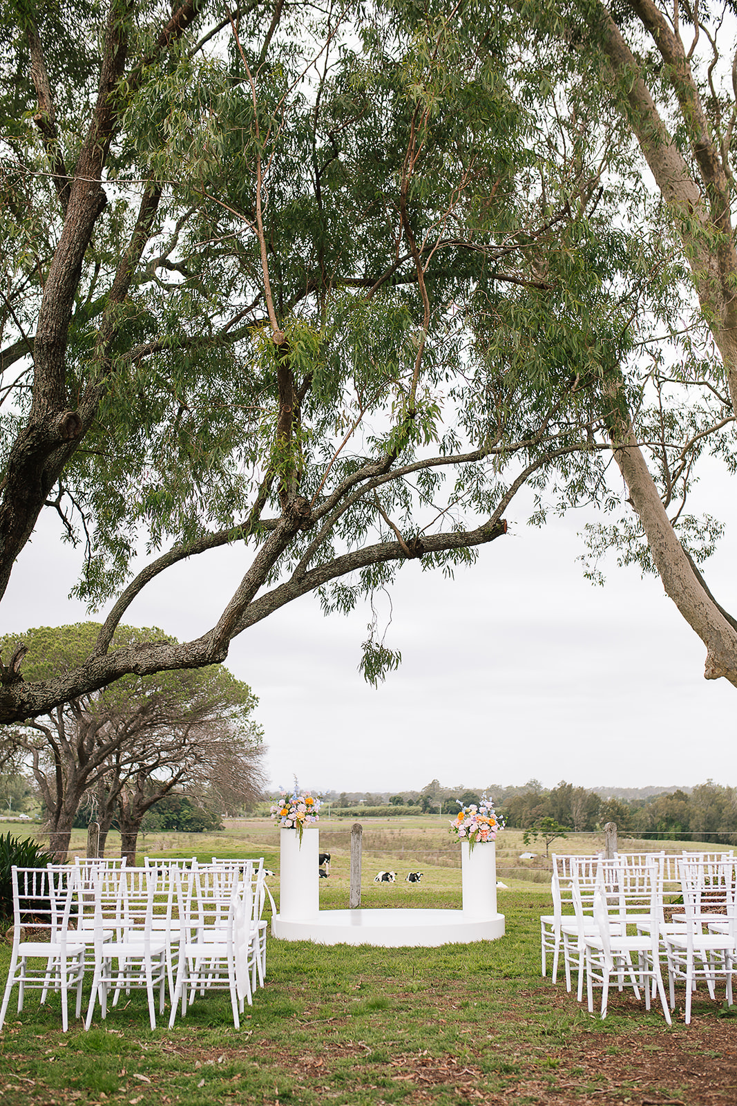 Kalimna Estate-2496090