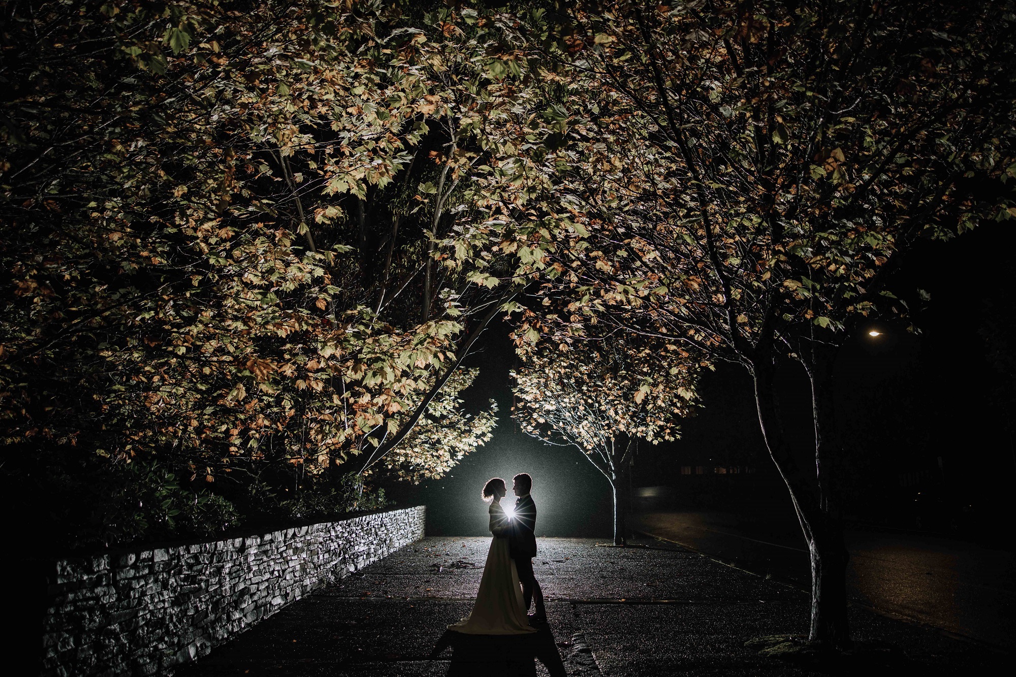 The Lookout Echo Point-2290738