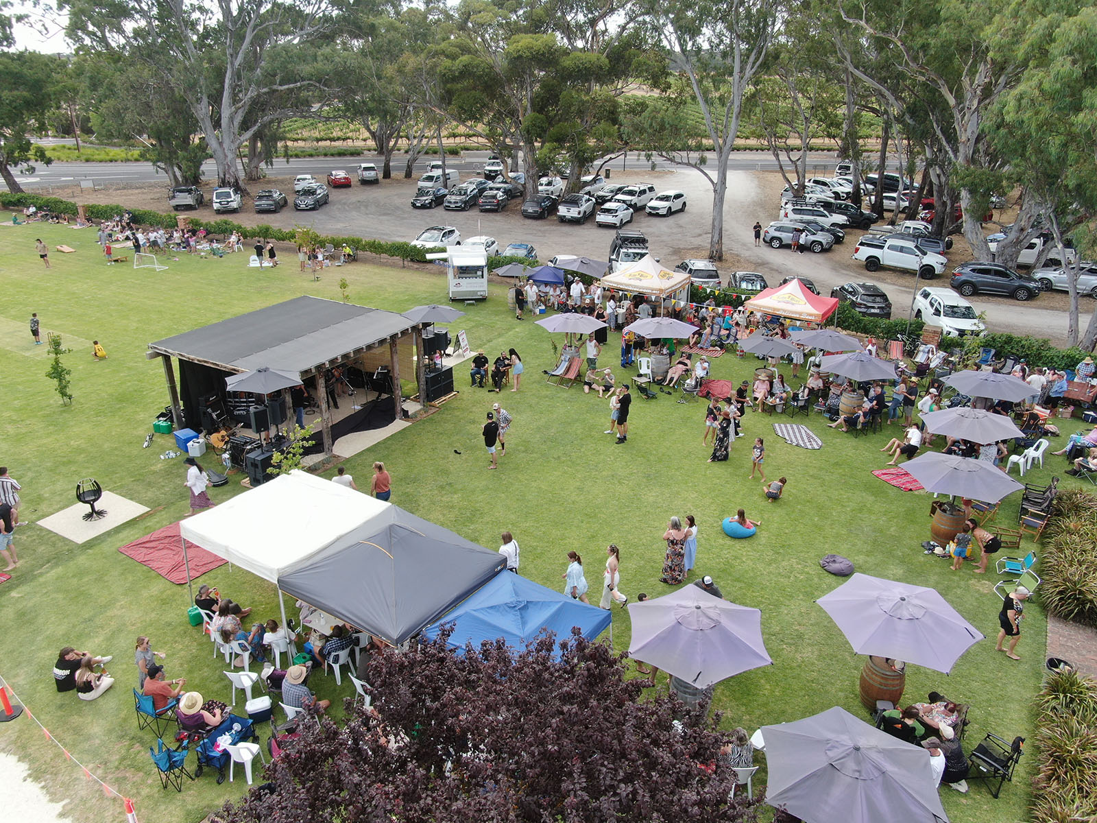 Pirathon Cellar Door-2446847