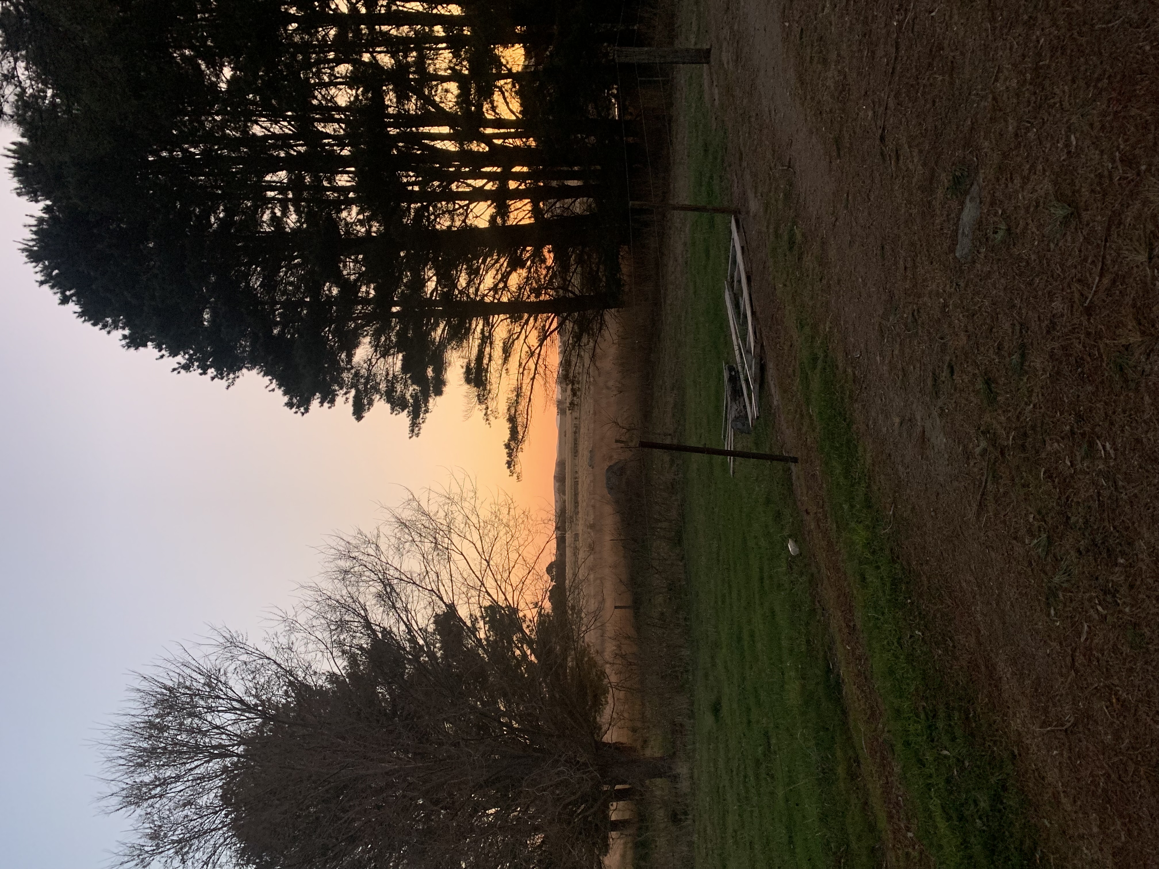 Garanvale Woolshed-2311398