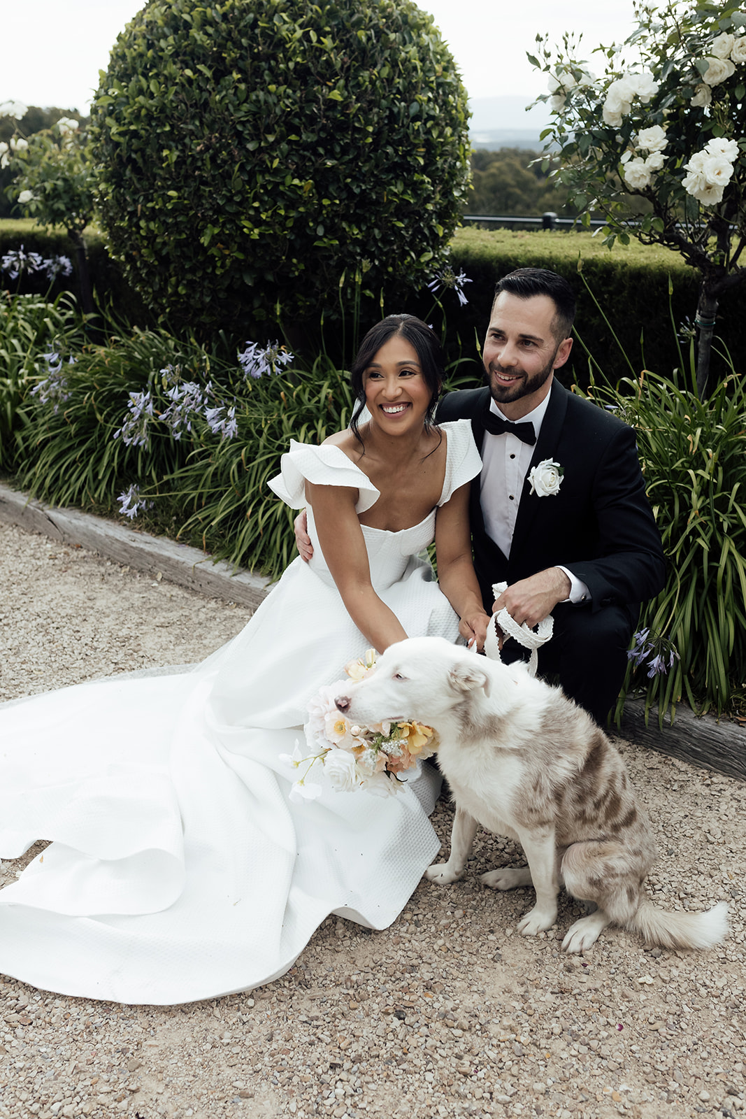 Yering Farm Wines-2502509