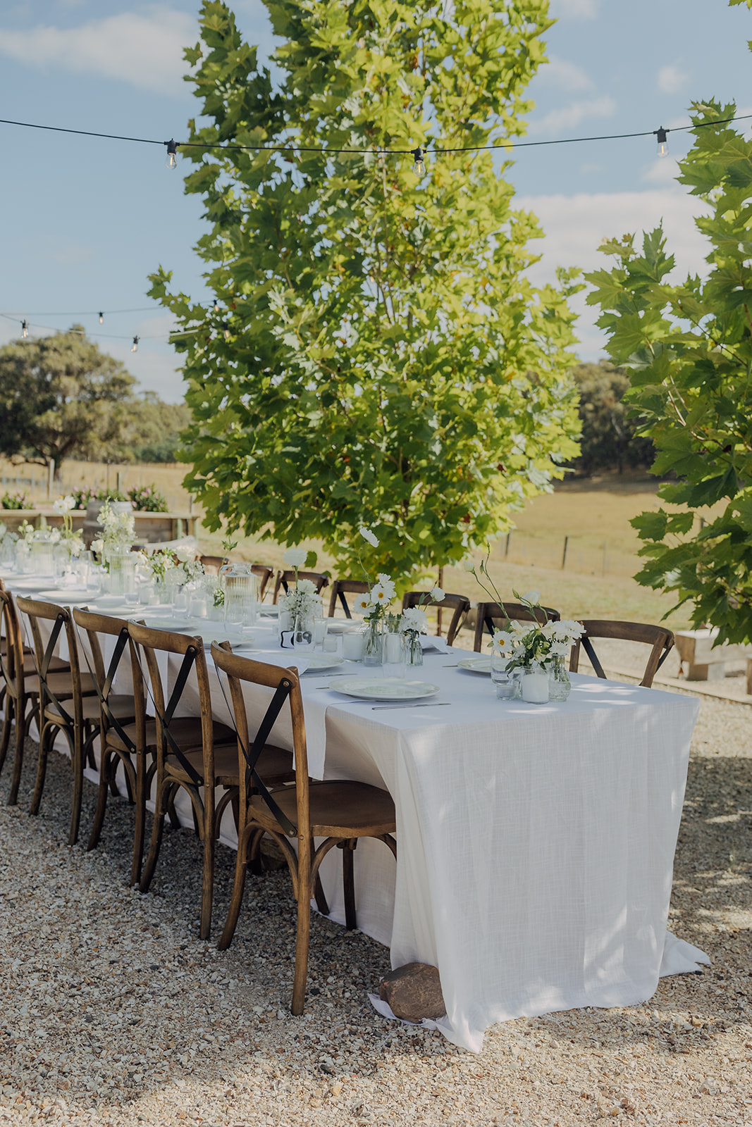 Lauriston Hills Estate-2430735