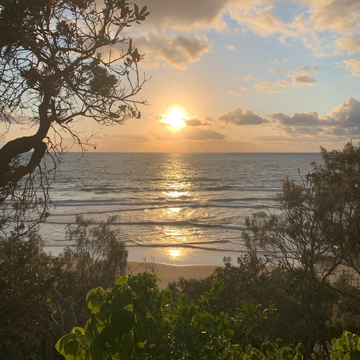 Surfair Beach Hotel Marcoola-2433948