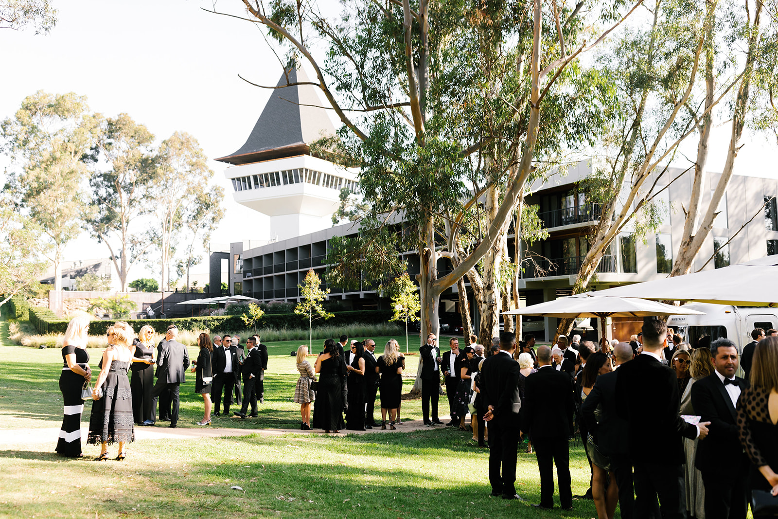 Mitchelton Wines-2183105