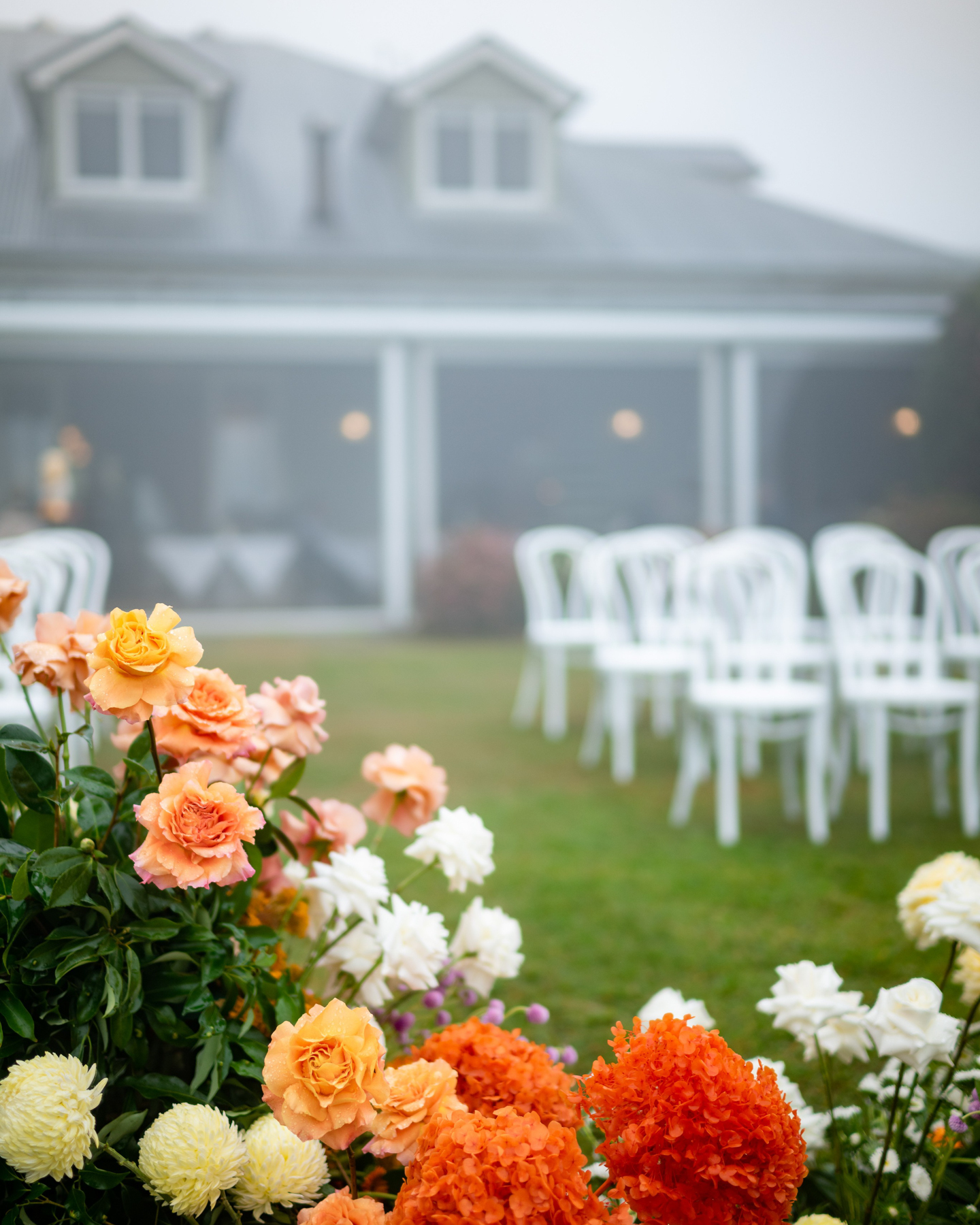 Spicers Clovelly Estate-2286689