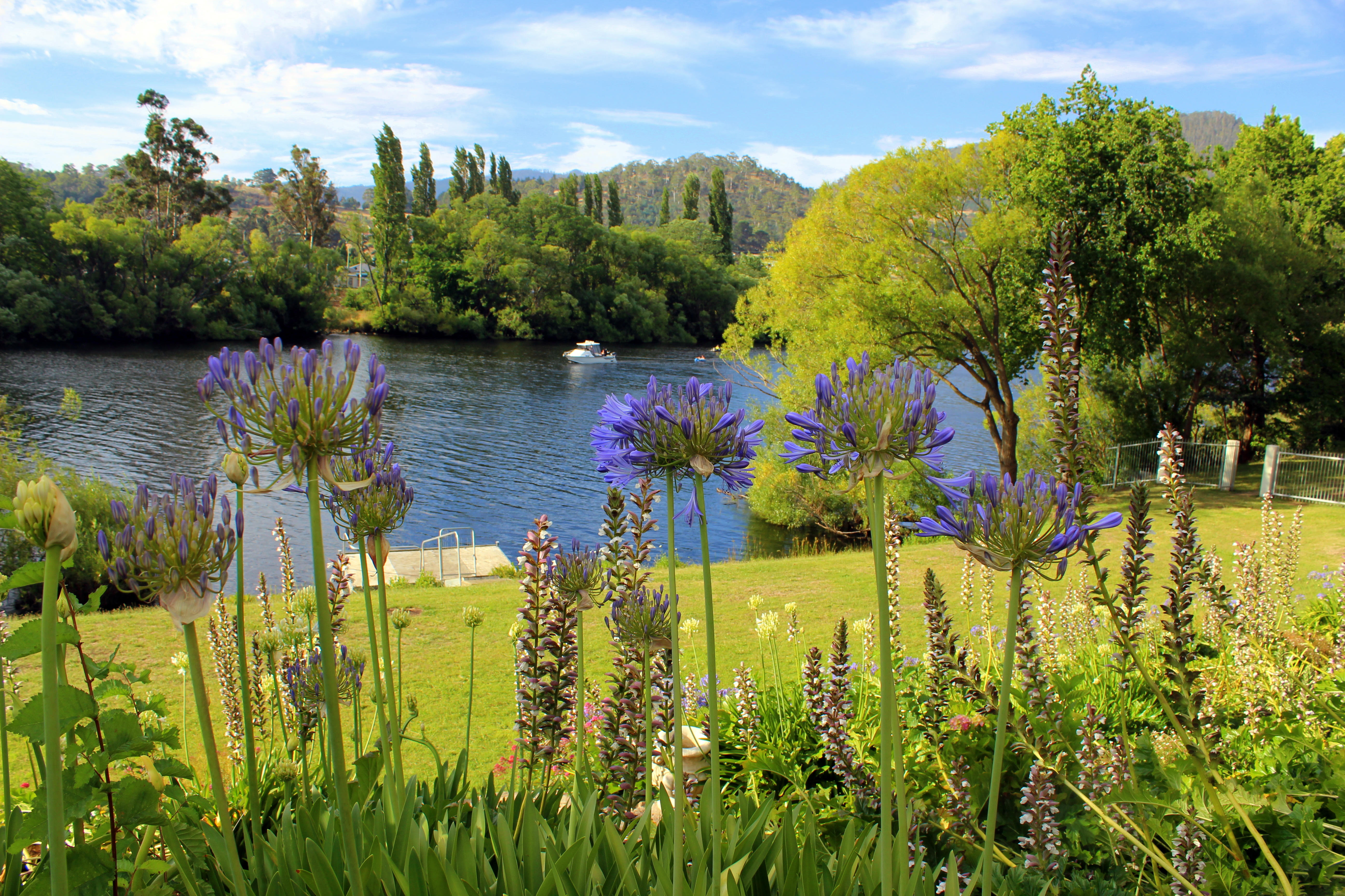 The Woodbridge Tasmania-2370528