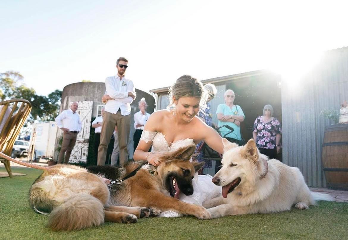 Redwing Farm-2230533