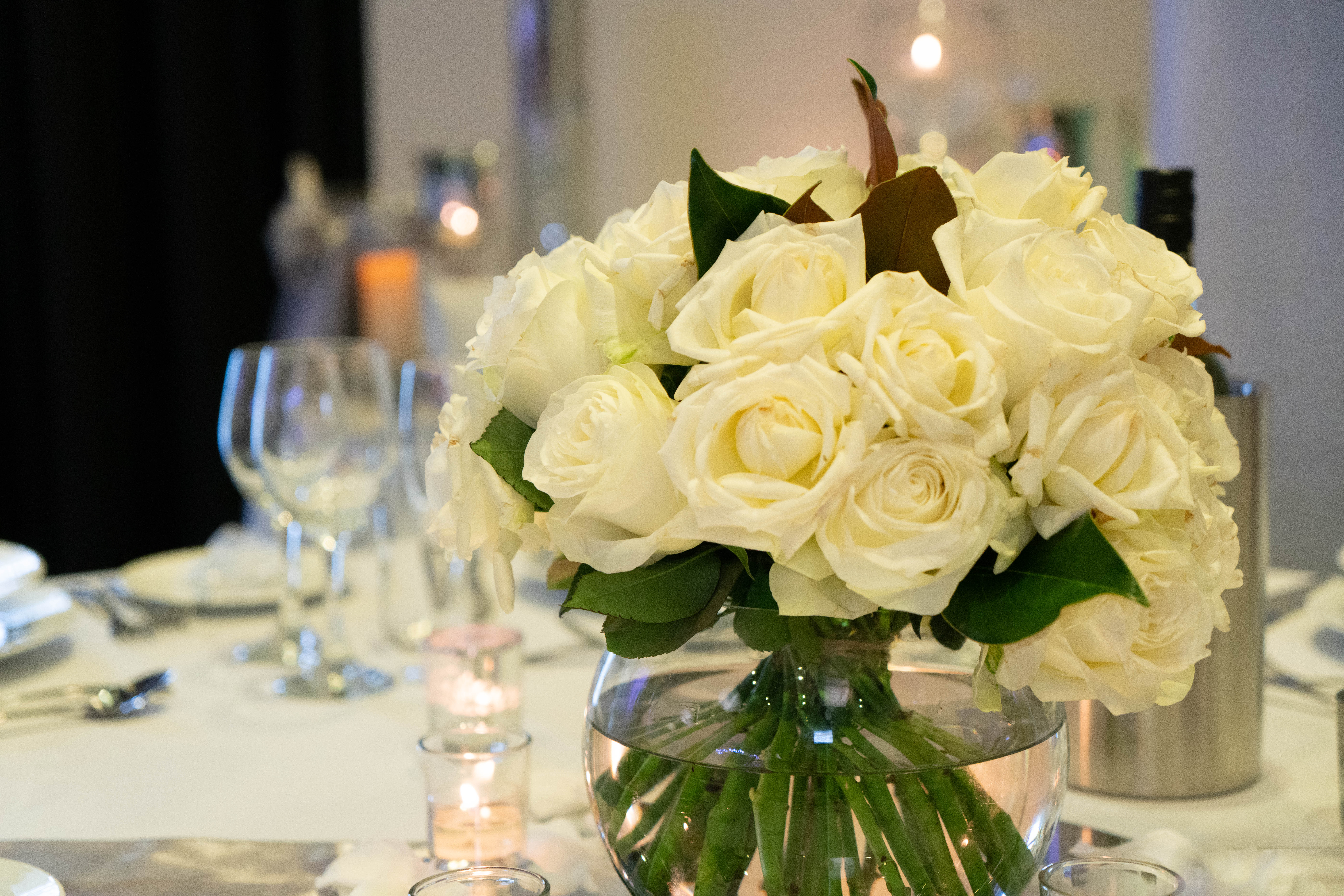 Alt. Events Menai-2263570