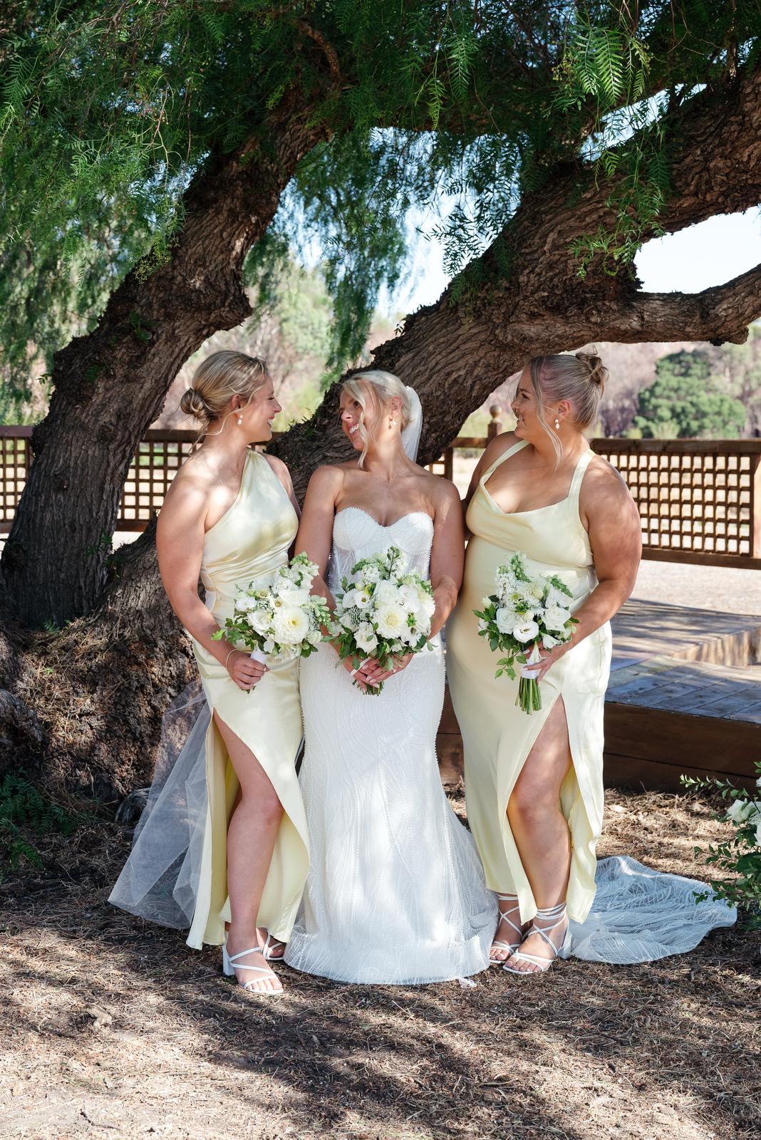 Grampians Park Station-2442799