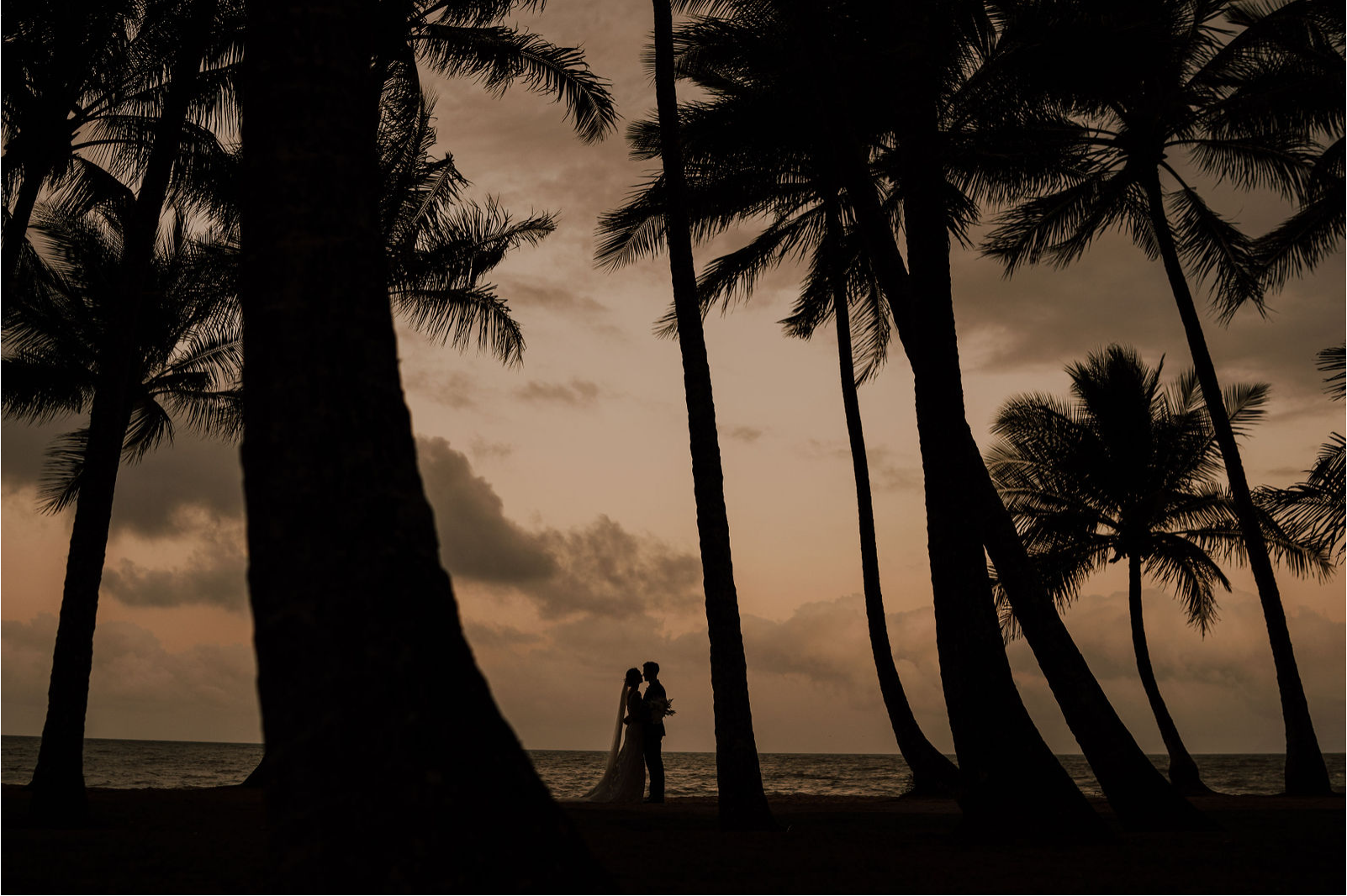 South Pacific Bridal-2380341