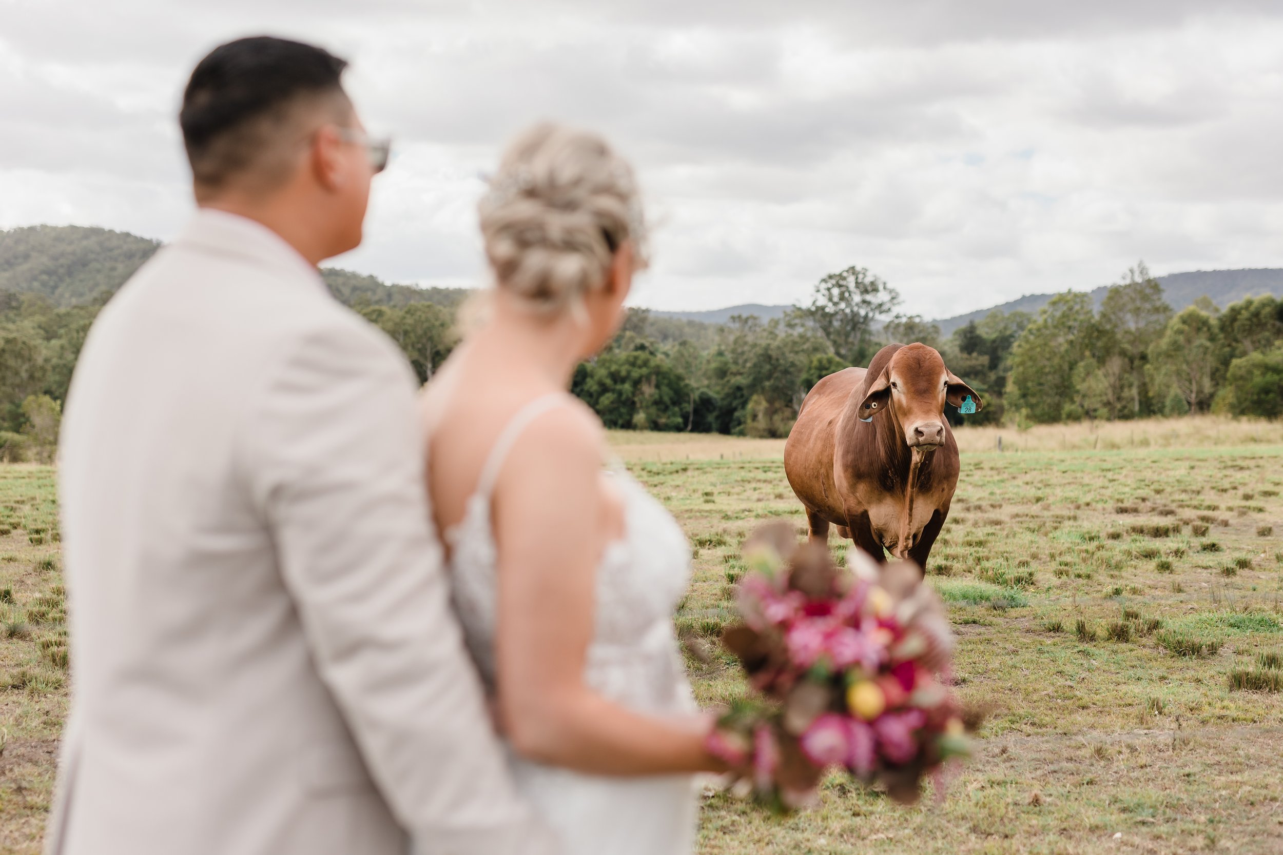 Woodstock Farm-2309875