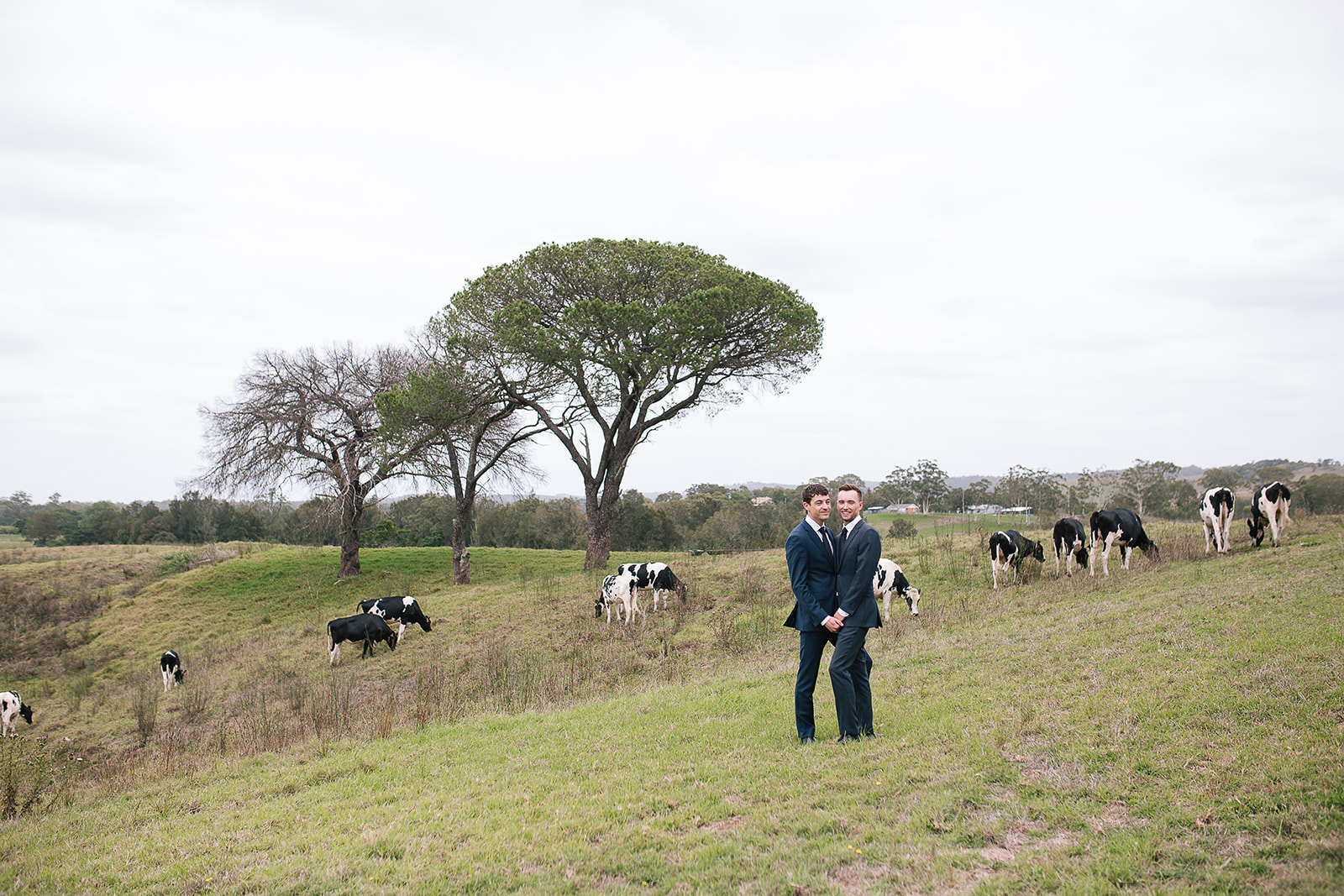 Kalimna Estate-2496101