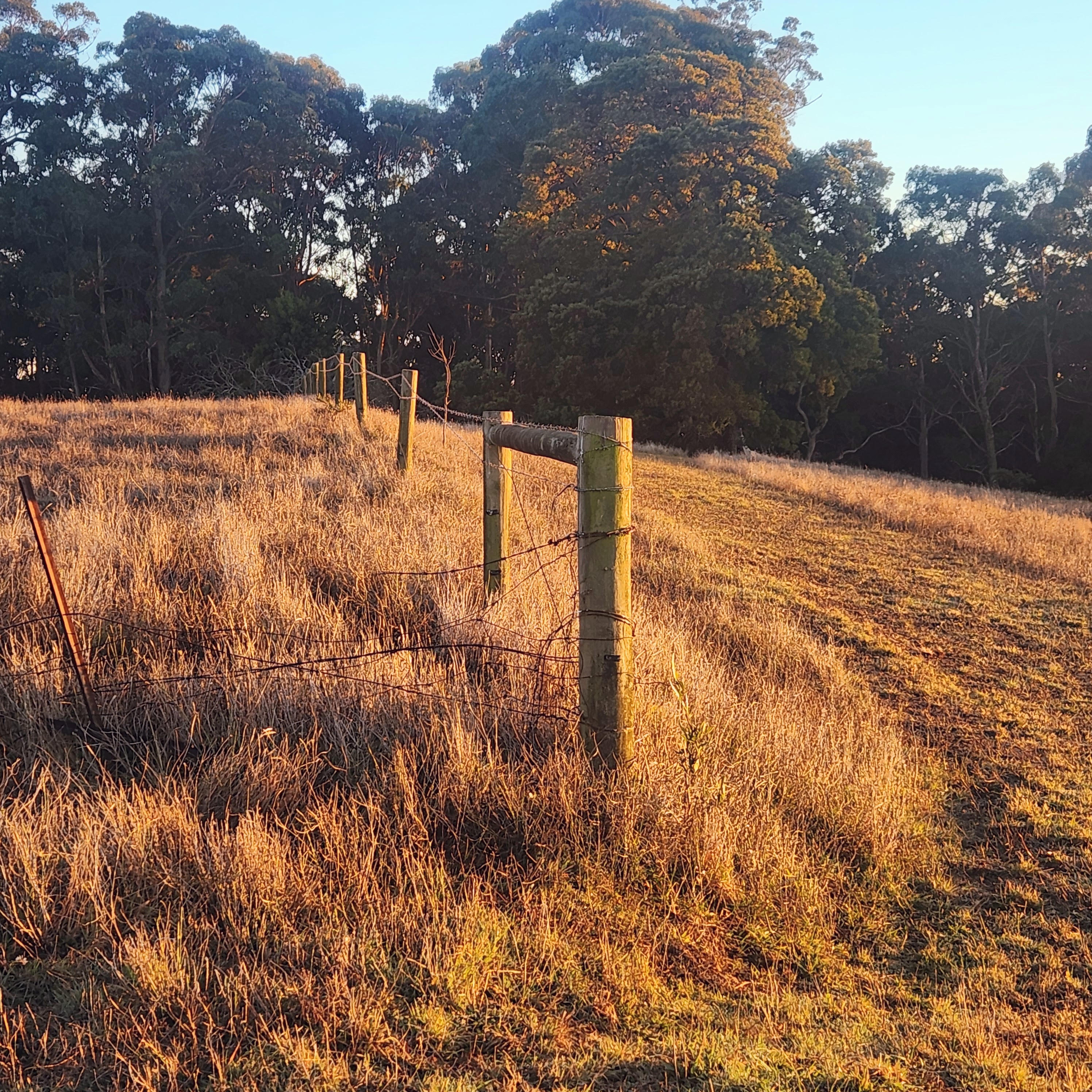 Little Hampton Farm-2486977