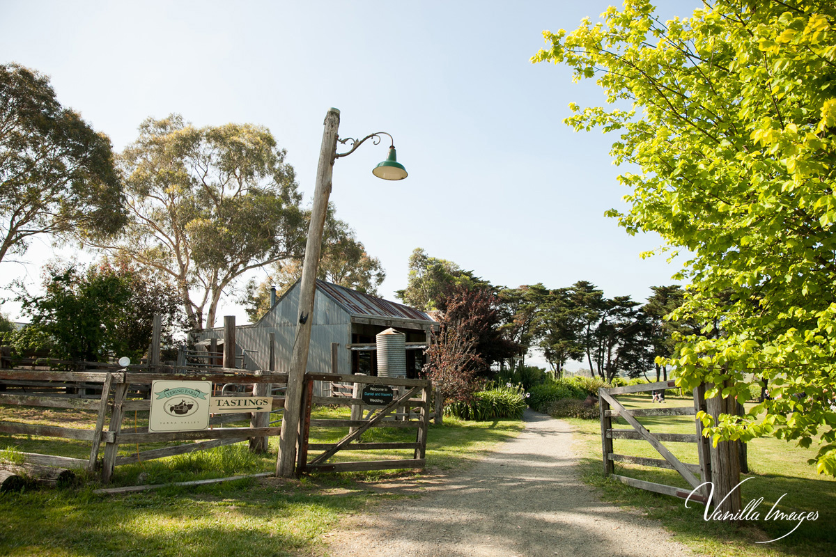 Yering Farm Winery-2502493