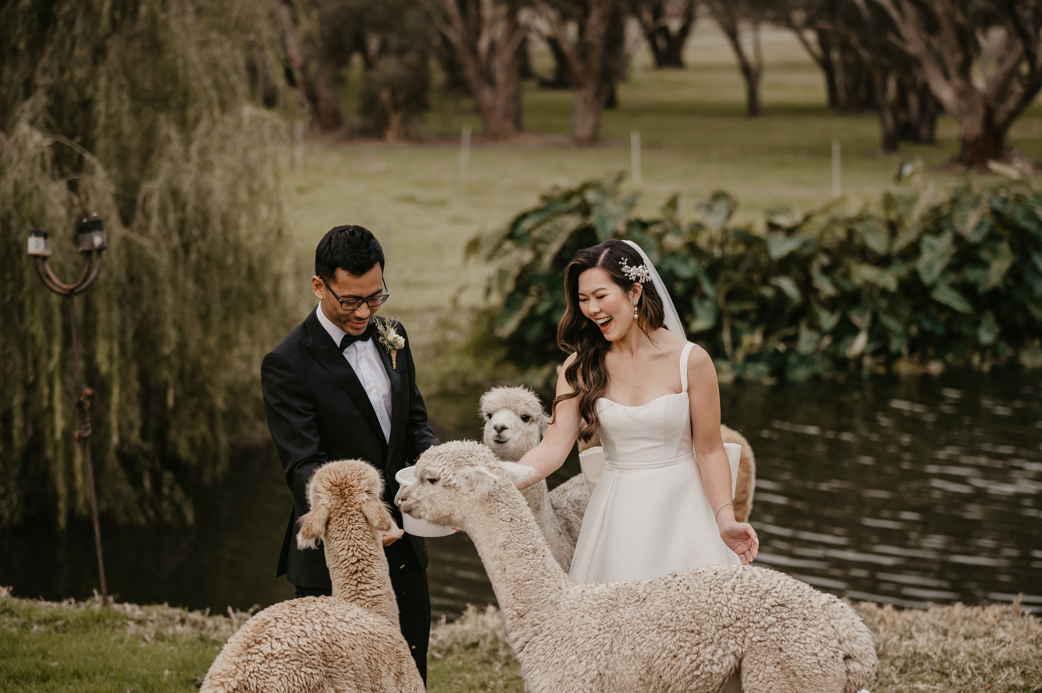 Chapel Farm Estate-2342408