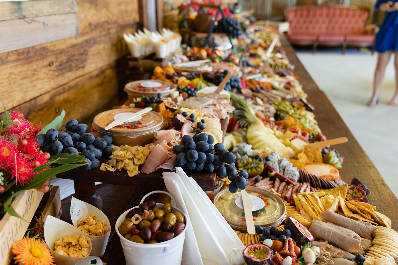 Cobb and Coach Farm-2431565